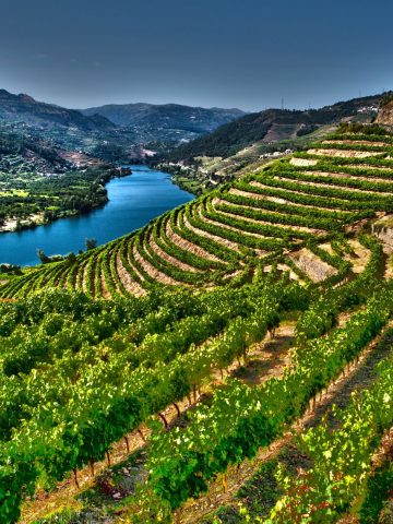 Top 15 Countries That You Didn't Know Are Safer Than the US: Uncovering Hidden Safe Havens, 7 Unmissable Weekend Getaways In Portugal, 10 Bucket List Destinations In Portugal To Visit, Daily Budget For Portugal: 10 Top Money-Saving Tips For Portugal, Top 15 Countries That You Didn't Know Are Safer Than the US: Uncovering Hidden Safe Havens, 15 Common Mistakes To Avoid In Portugal