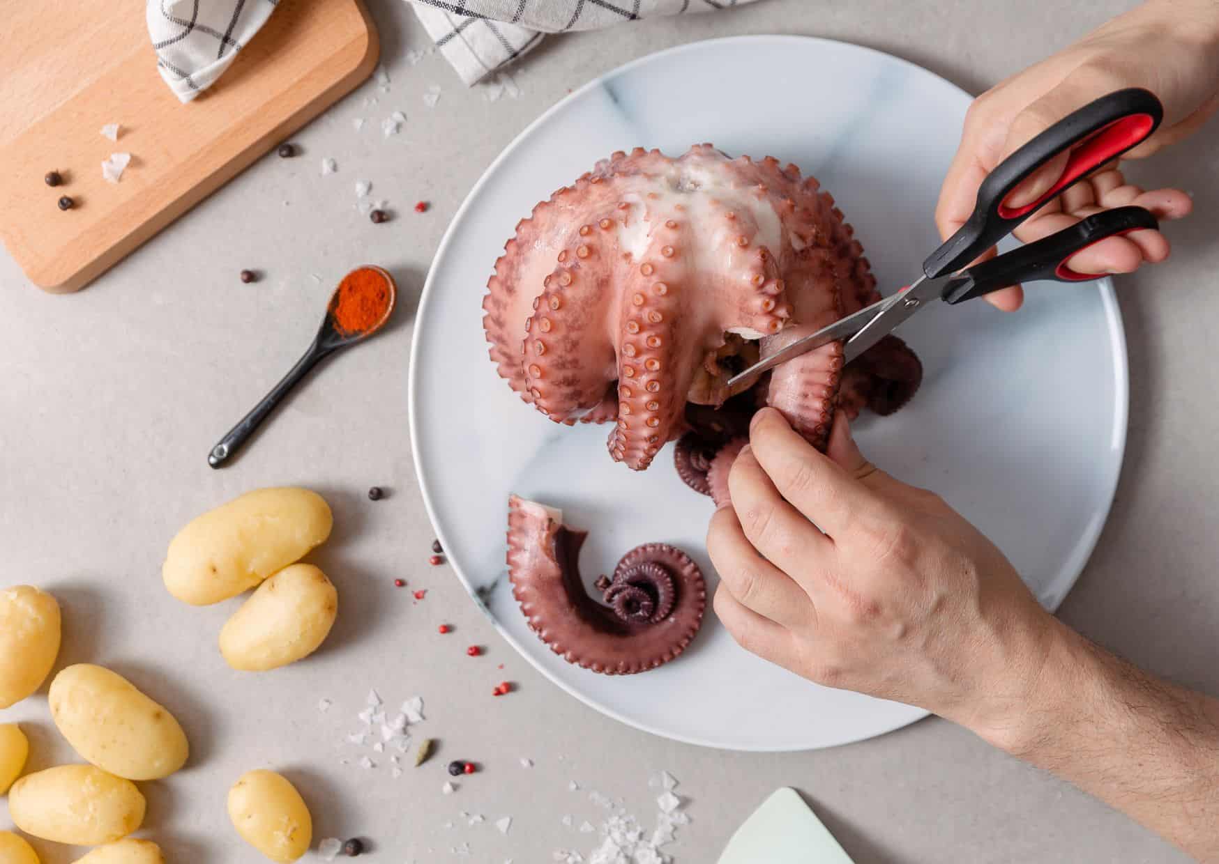 Most People Cook Octopus Wrong: How to Cook Octopus the Spanish Way Without Making It Rubbery 3 How To Make Pulpo a la Gallega Galician-Style Octopus (Recipe Guide)