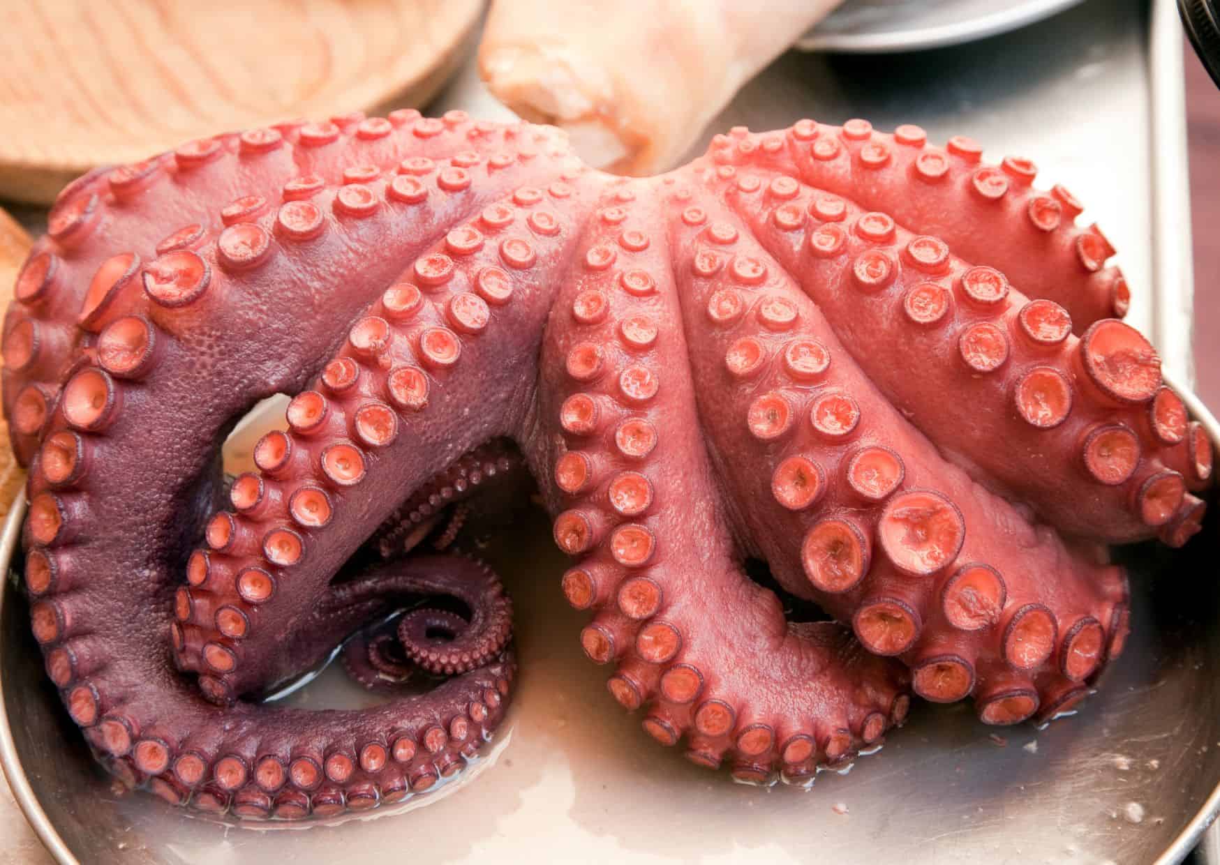 Think Octopus Is Tricky? This Portuguese Method Changes Everything: How to Make Octopus with Olive Oil and Garlic 2 How To Make Pulpo a la Gallega Galician-Style Octopus (Recipe Guide)