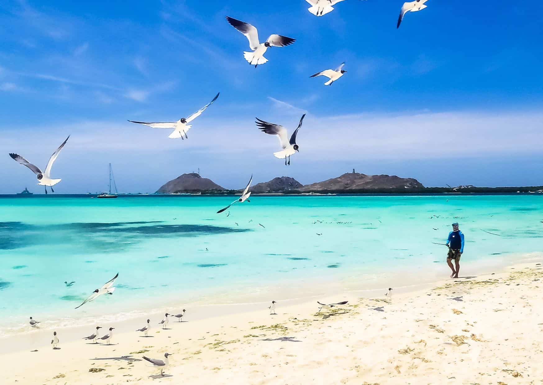 7 Tourist Traps to Avoid in the Caribbean And How To Avoid Them