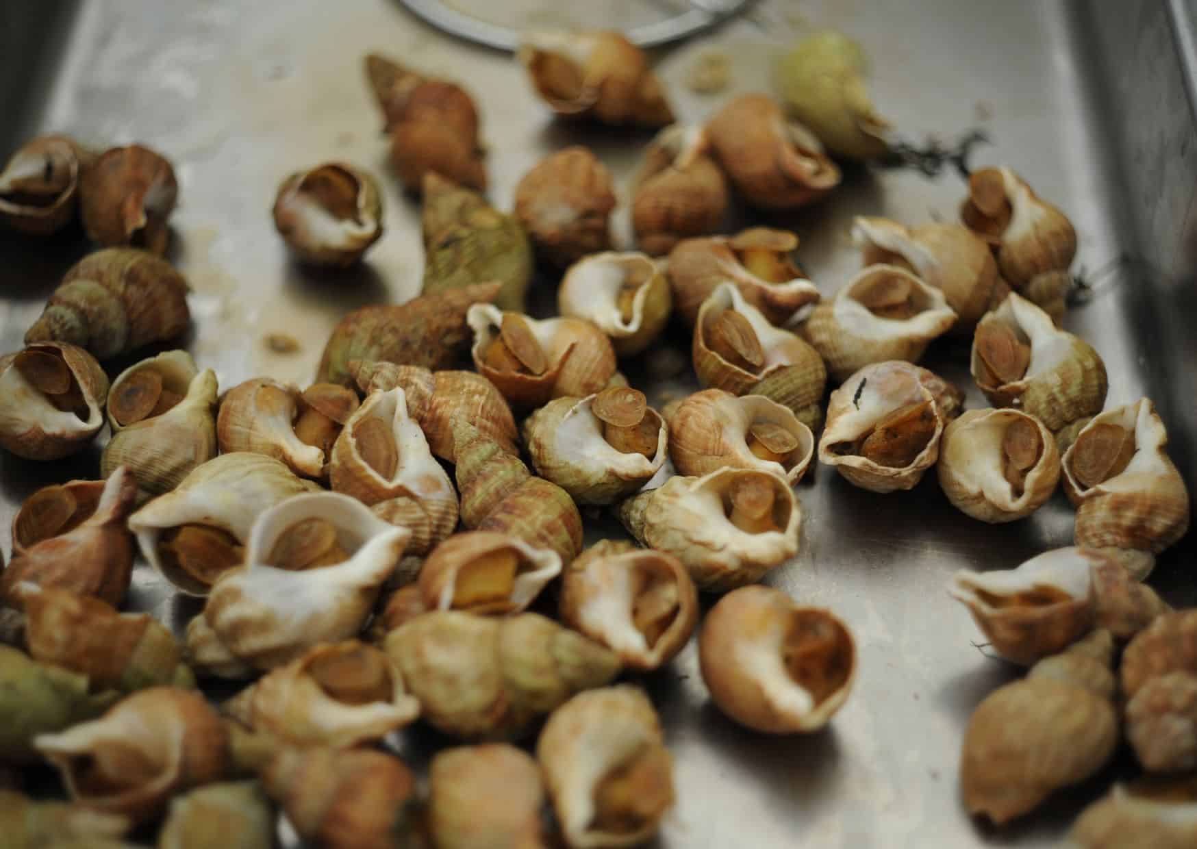 Why Escargots Are the Most Elegant Appetizer You’re Afraid to Try (And How to Make Them Like the French) 2 How To Make Escargots (Recipe Guide)