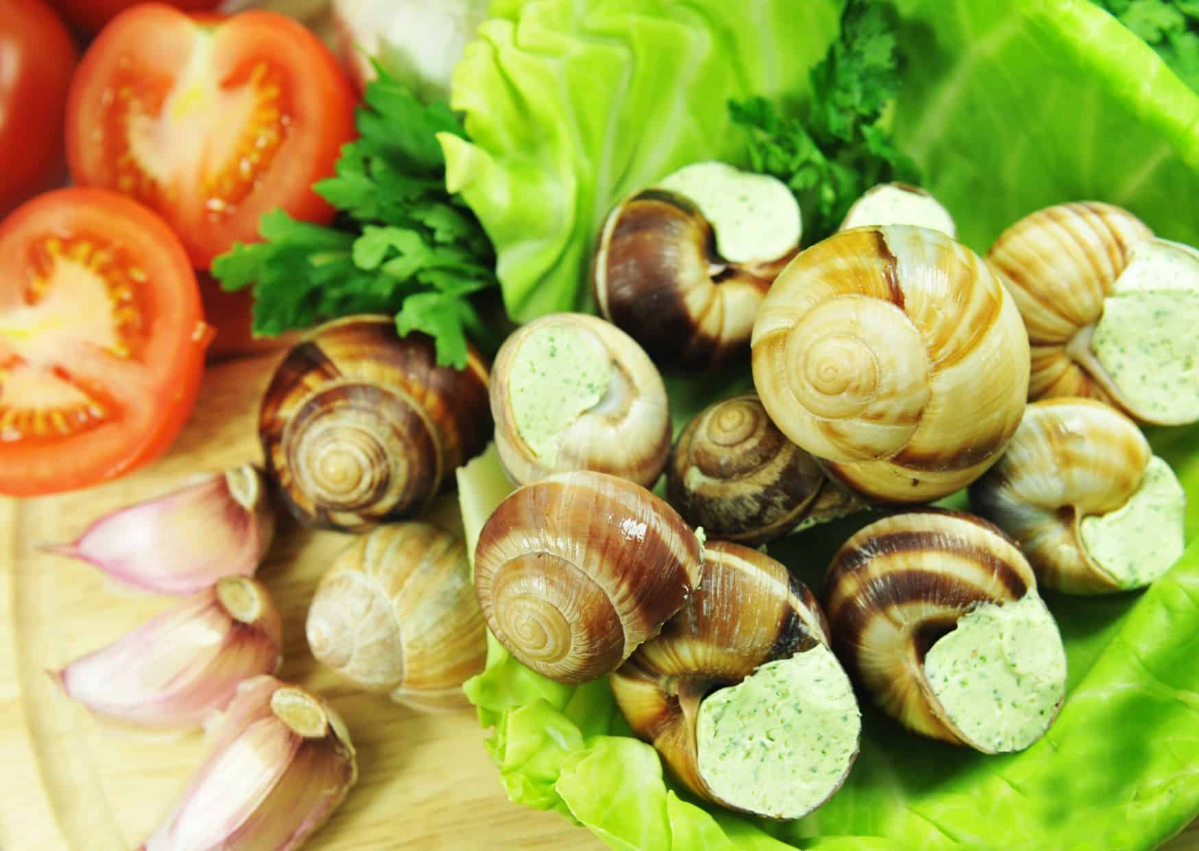 Why Escargots Are the Most Elegant Appetizer You’re Afraid to Try (And How to Make Them Like the French) 4 How To Make Escargots (Recipe Guide)