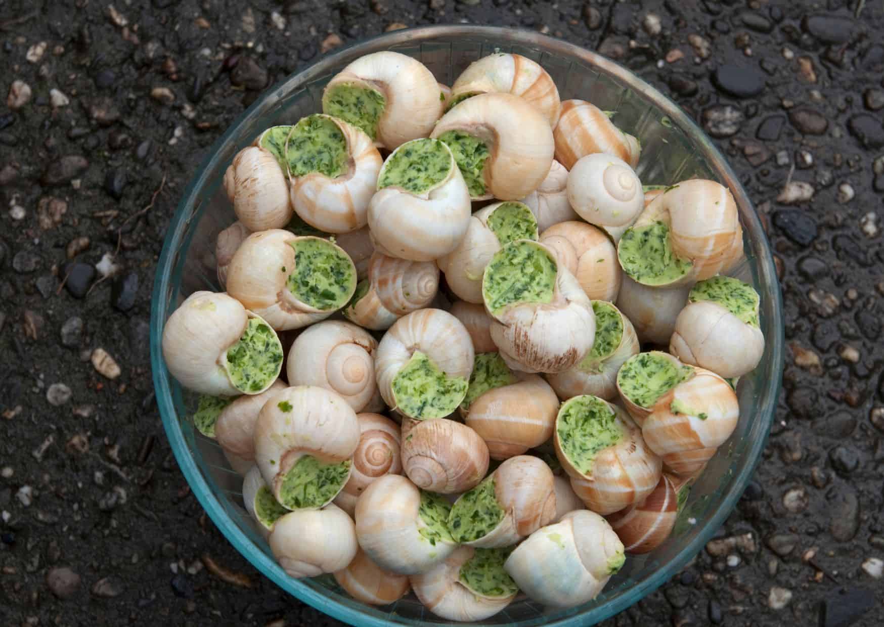 Why Escargots Are the Most Elegant Appetizer You’re Afraid to Try (And How to Make Them Like the French) 5 How To Make Escargots (Recipe Guide)