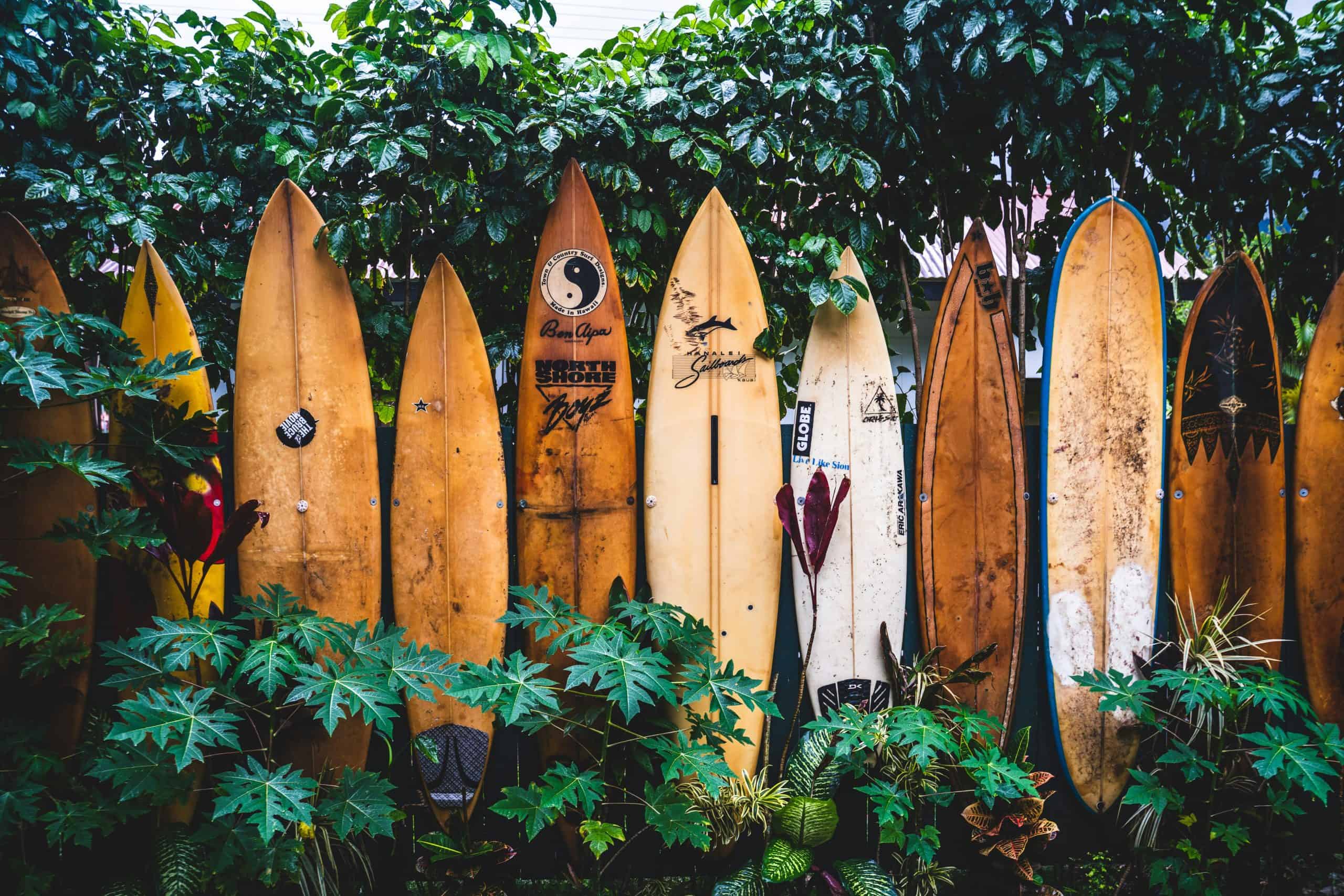 cities in the world overwhelmed by airbnbs