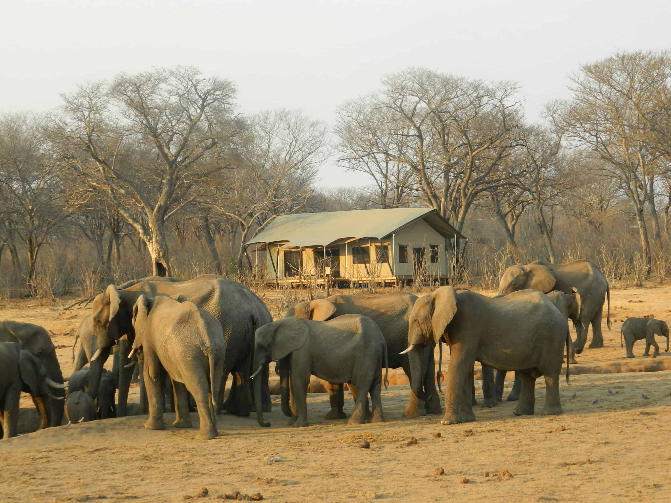Sustainable Tourism Hwange National Park Main Camp Zimbabwe scaled
