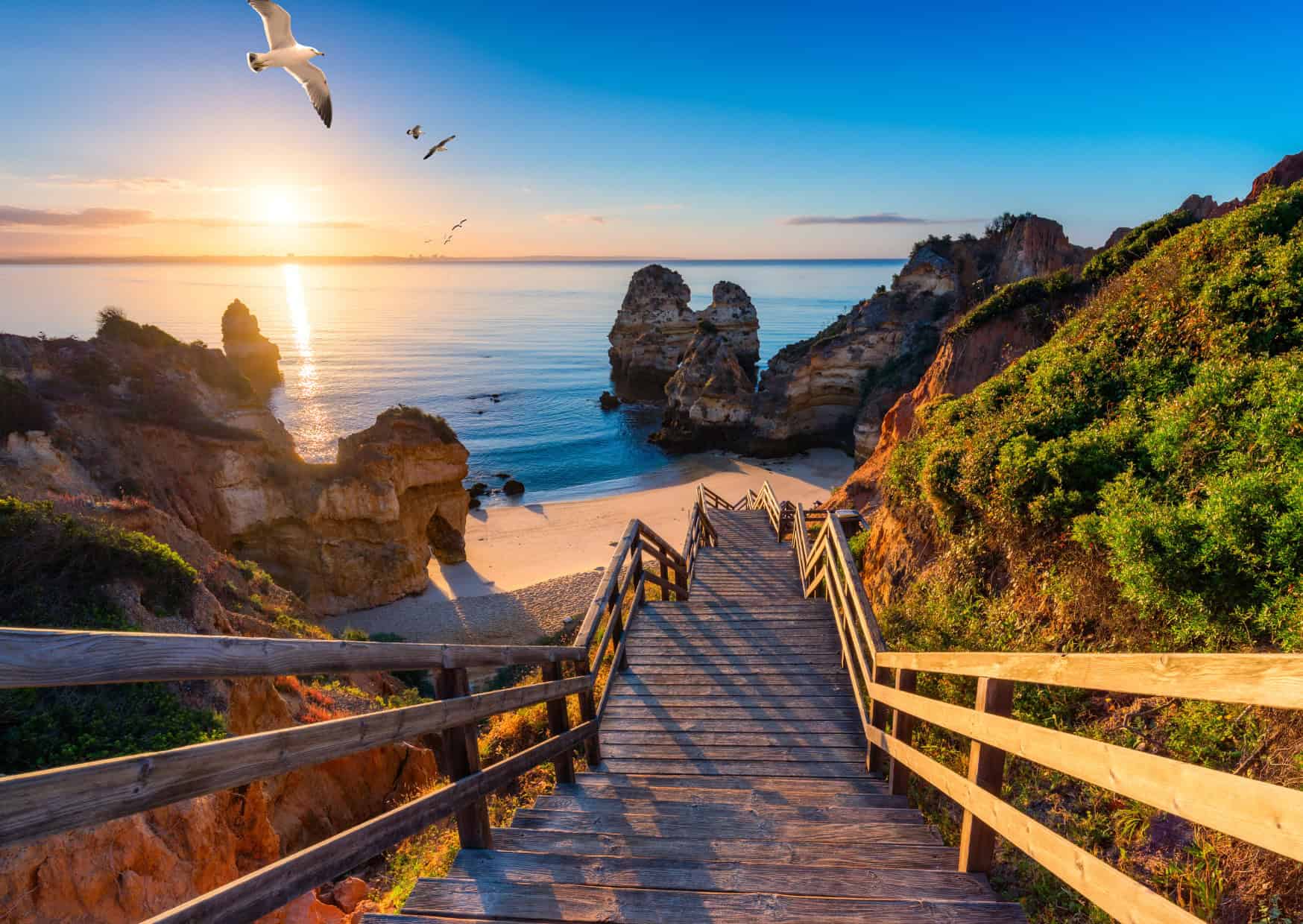 Why Everyones Packing Up and Moving to Portugal Algarve Portugal