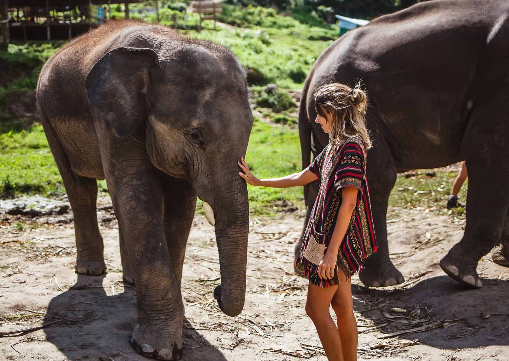 12 Tourist Behaviors That Instantly Make Locals Cringe (And What to Do Instead) 4 wildlife travel 10 Ways Extreme Weather is Changing Your Travel Plans