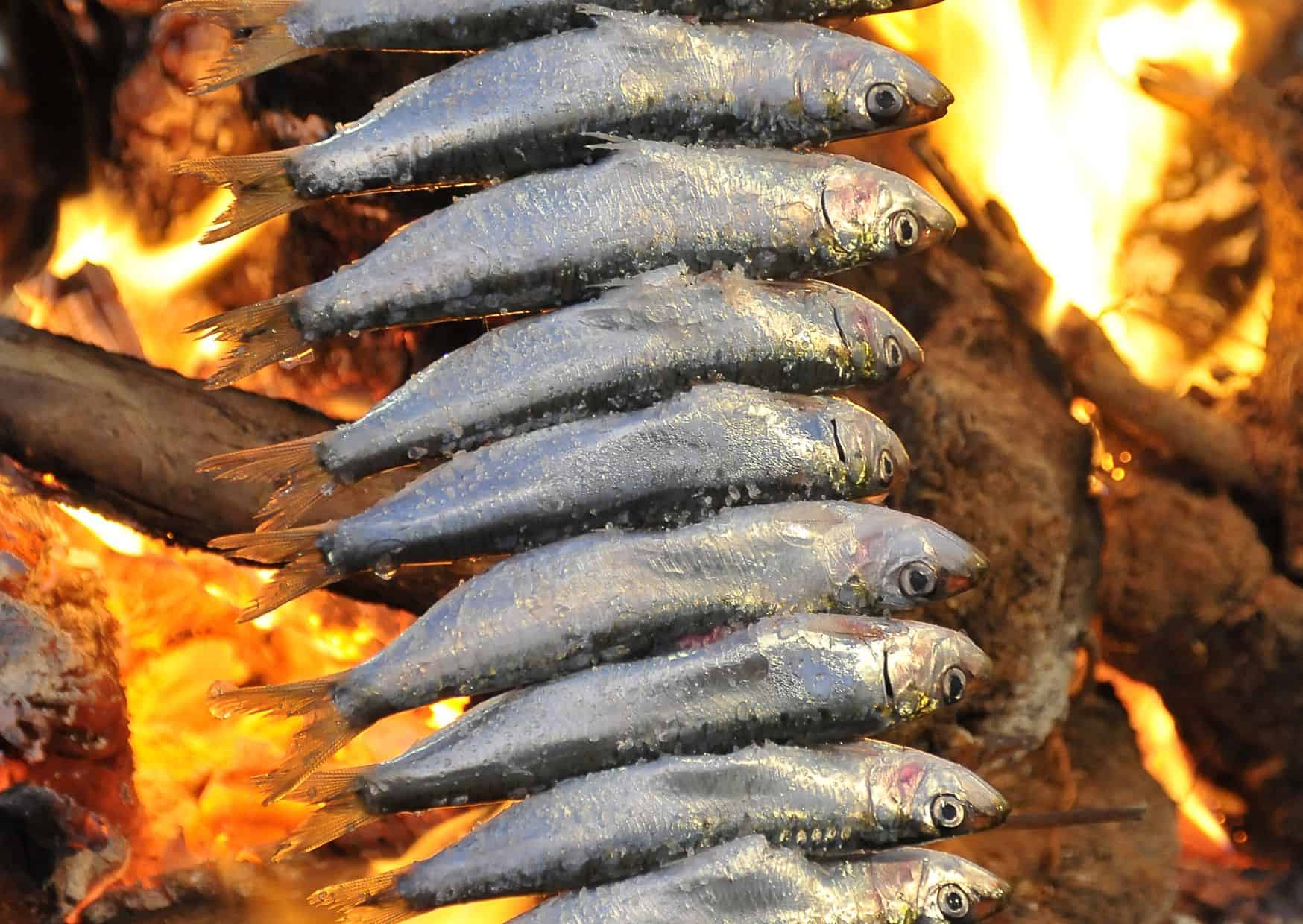 Best Months to Visit Lisbon: A Complete Travel Guide on What to Do and Eat 11 How To Make Homemade Espetos Sardine Skewers (Recipe Guide)