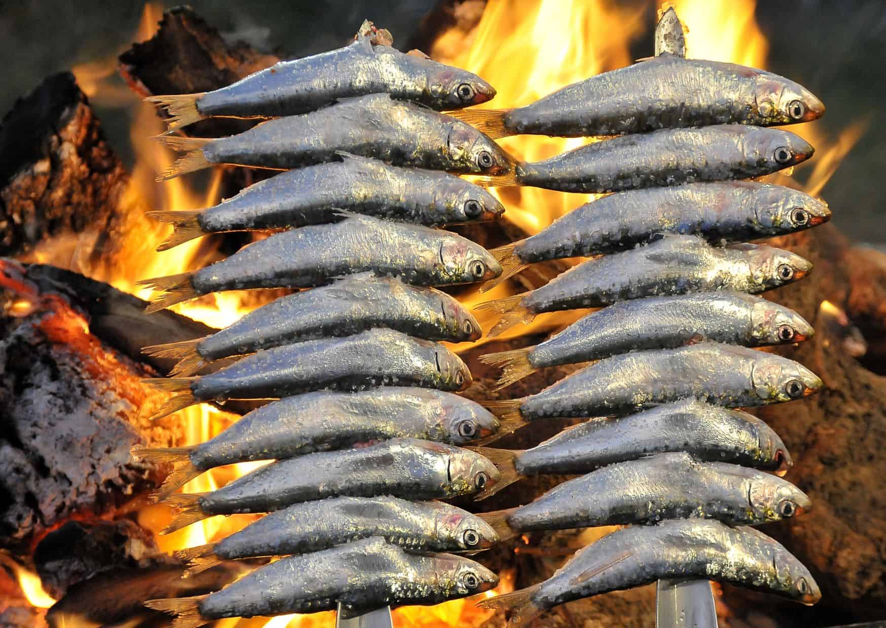 How To Make Homemade Espetos Sardine Skewers (Recipe Guide)