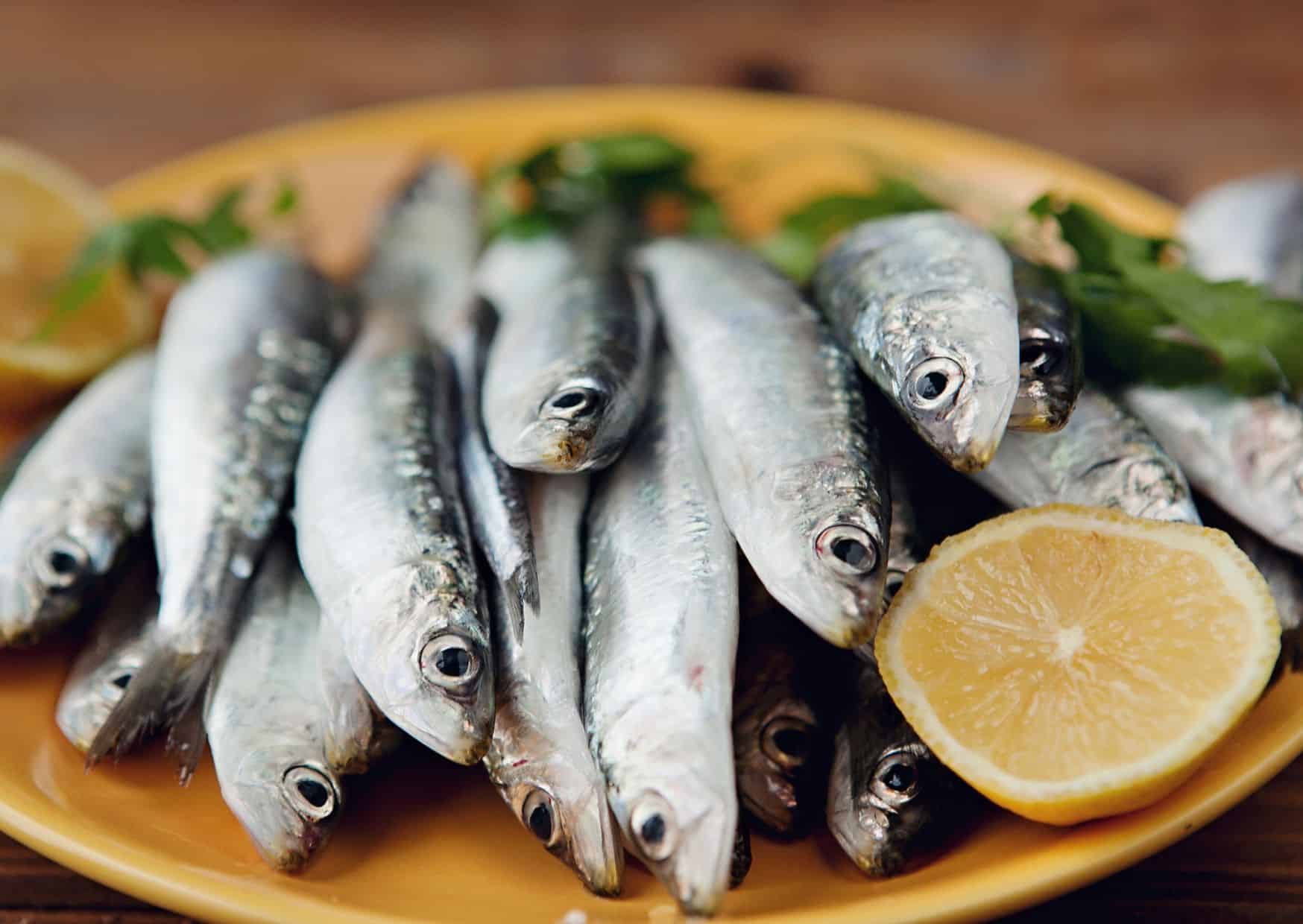 How To Make Homemade Espetos Sardine Skewers (Recipe Guide)