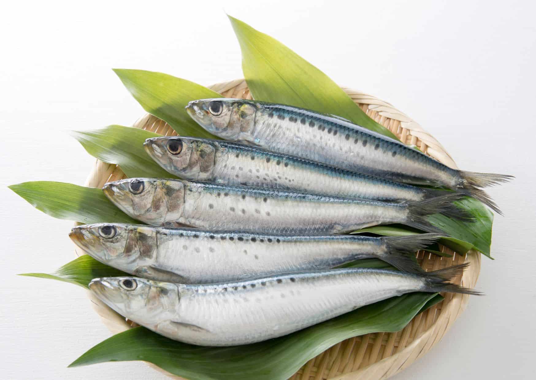 The Classic Italian Sarde in Saor Recipe That Turns Simple Sardines Into Magic 2 How To Make Homemade Sarde in Saor Sweet and Sour Sardines (Recipe Guide)