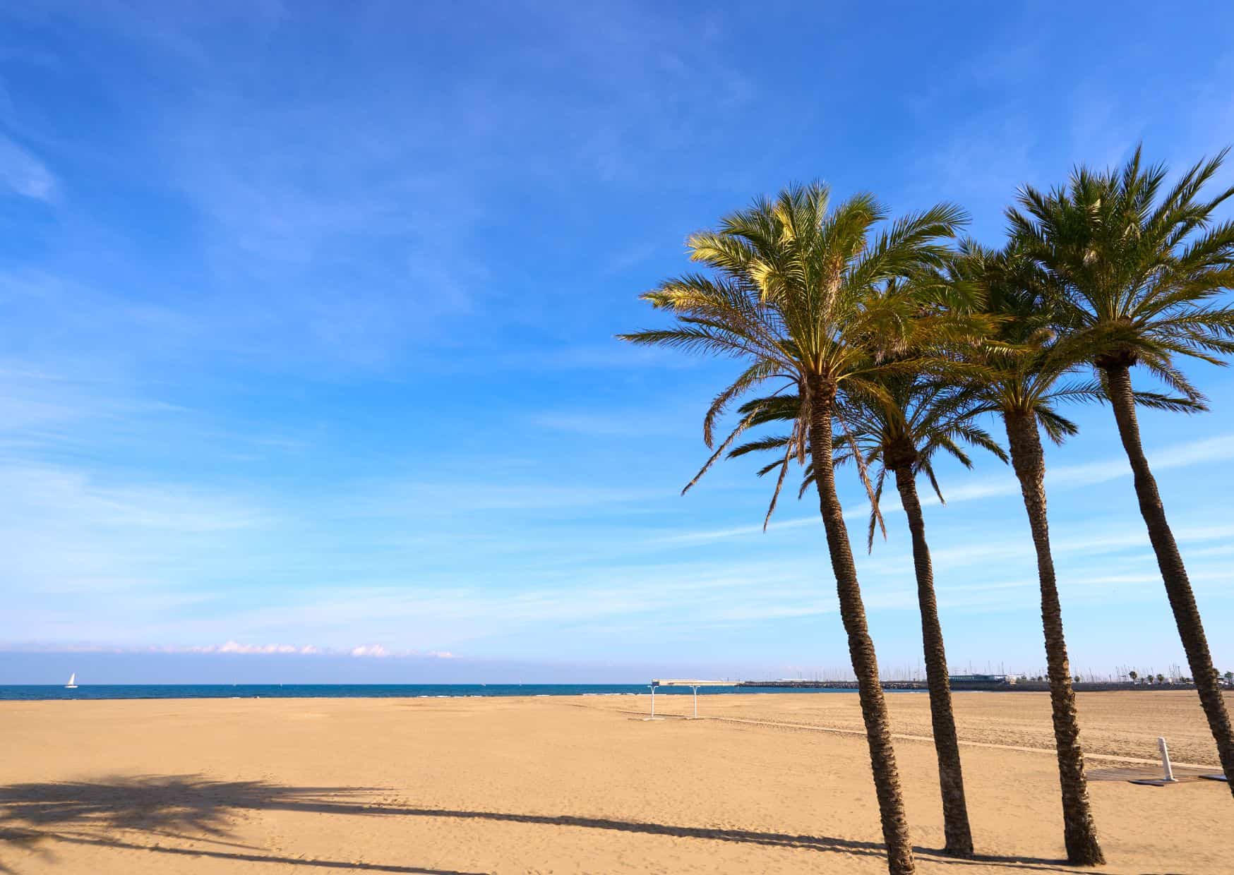 7 Most Popular Beaches in Spain To Visit For Locals, Beach Malvarrosa
