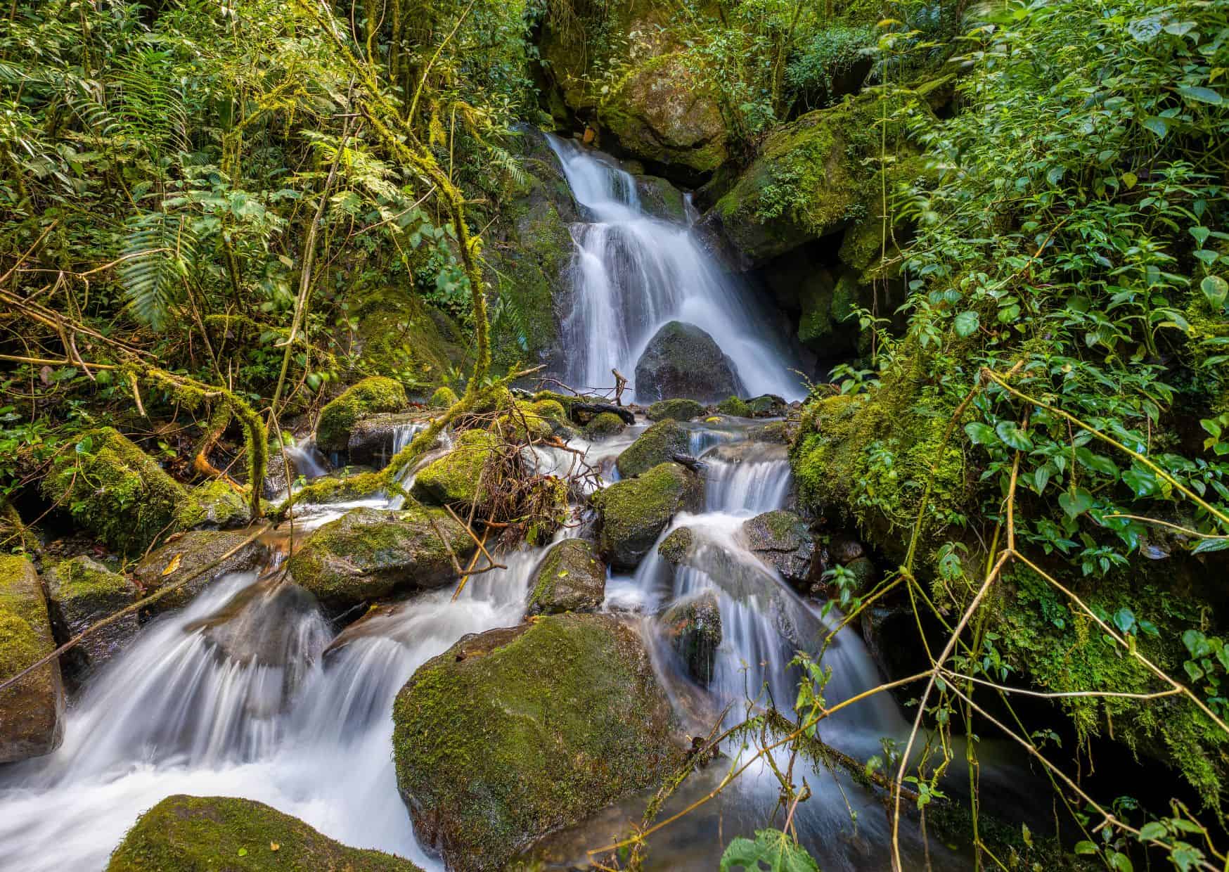 15 Things Tourists Get Wrong About Life in Costa Rica 2 San Gerardo de Dota, 15 Unspoken Rules of Costa Rican Life That Tourists Never Understand