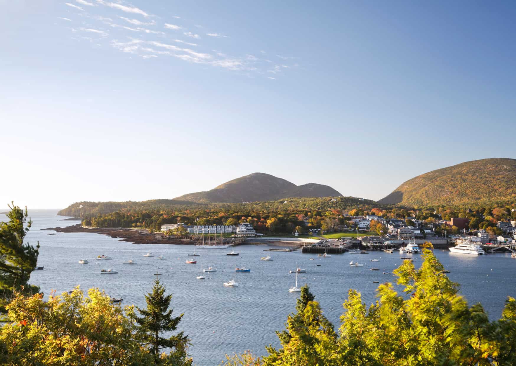 Pack the Treats, Not the Guilt: 10 Pet-Friendly Destinations Your Dog (or Cat) Will Love as Much as You Do 4 pet friendly travel destinations