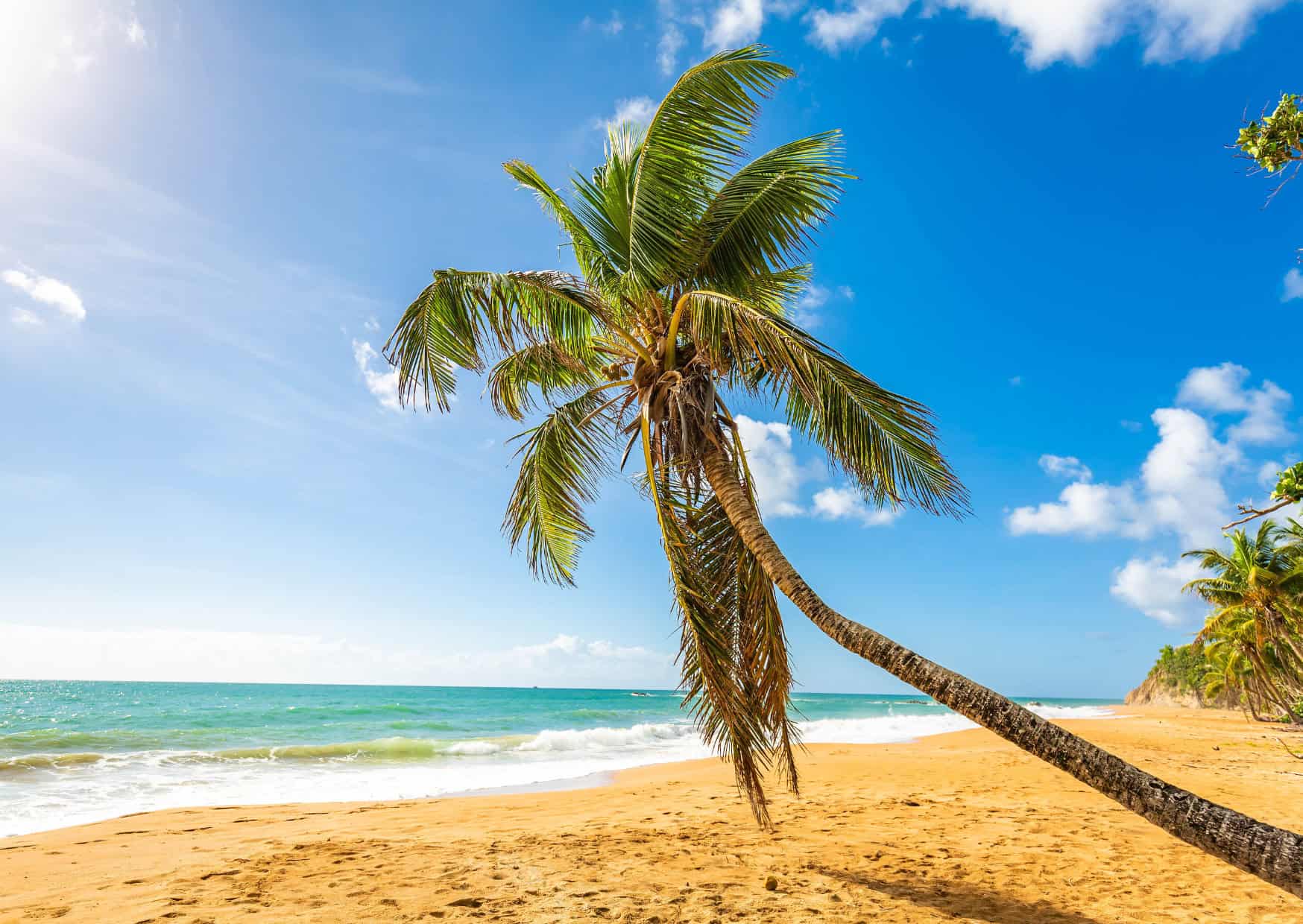 Caribbean Beaches Vs Asian Beaches What Are The Most Beautiful 5 Caribbean Beaches Vs Asian Beaches What Are The Most Beautiful