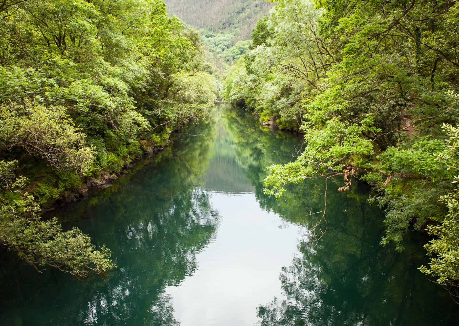 10 Hidden Spanish Destinations Locals Love (But Tourists Never Discover) 5 Fragas do Eume, Galicia