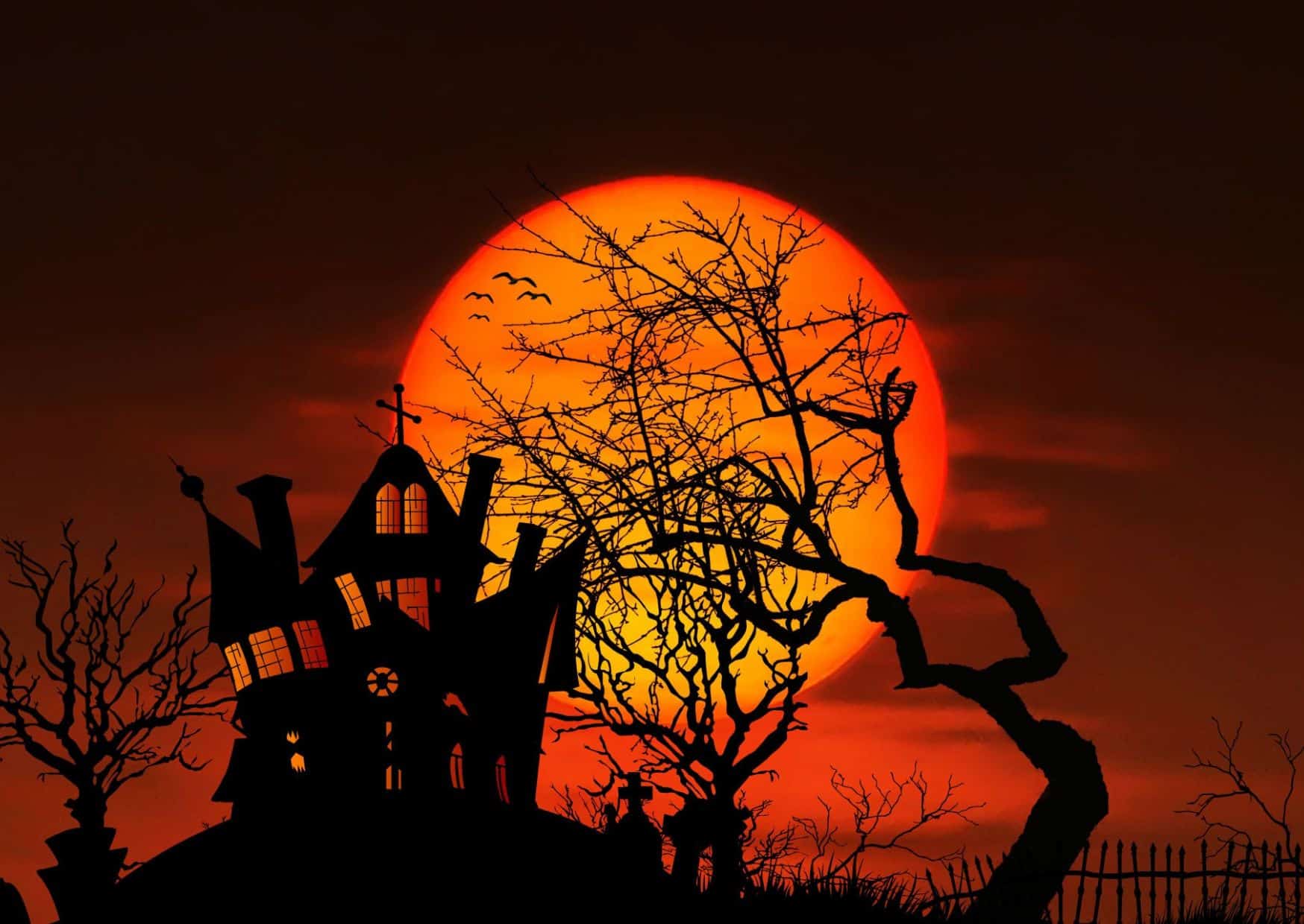 Halloween 7