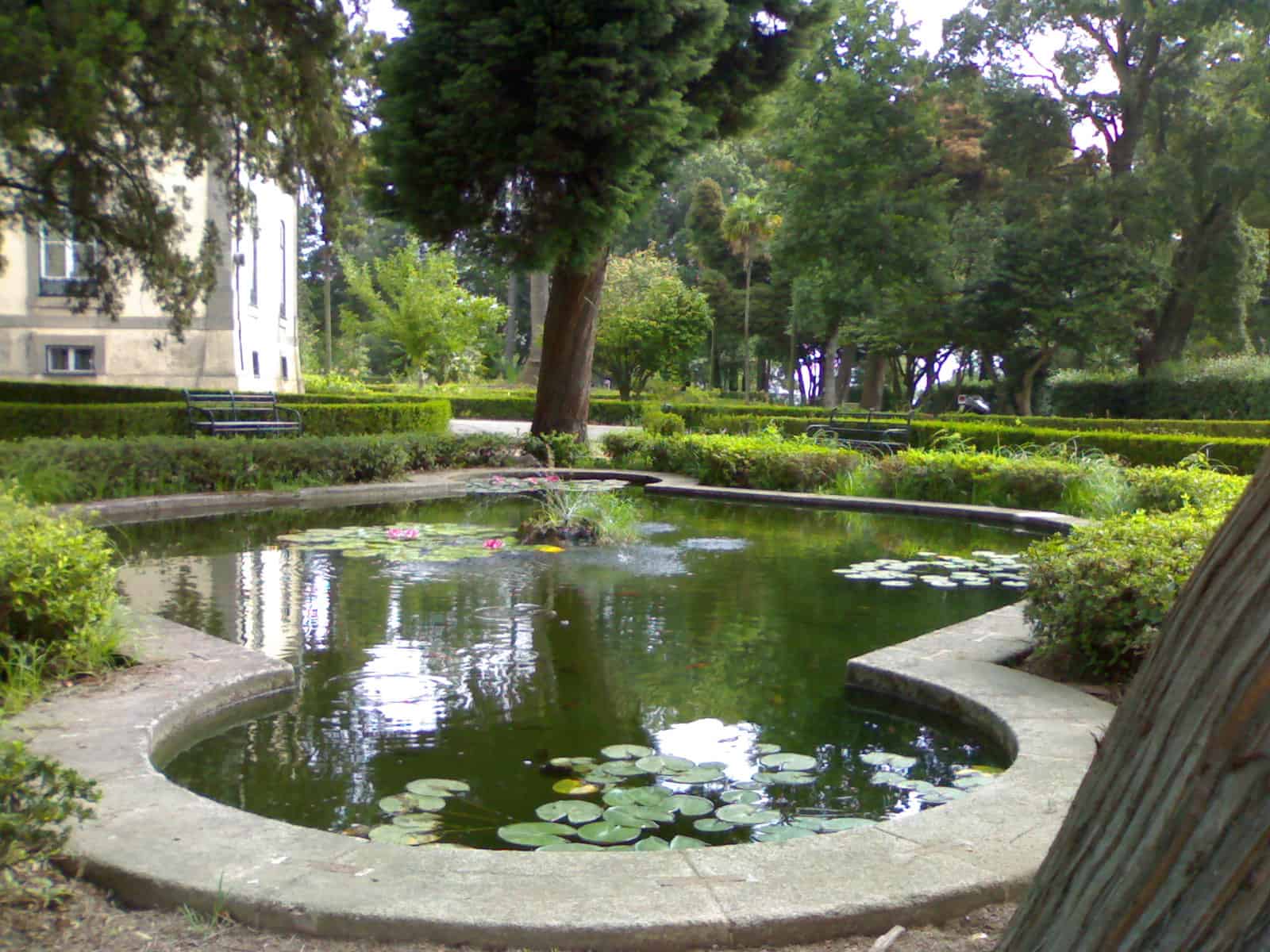 10 Hidden Porto Viewpoints Only Locals Know About 5 Mais detalhes Lago de nenufares do Parque de Nova Sintra no Porto