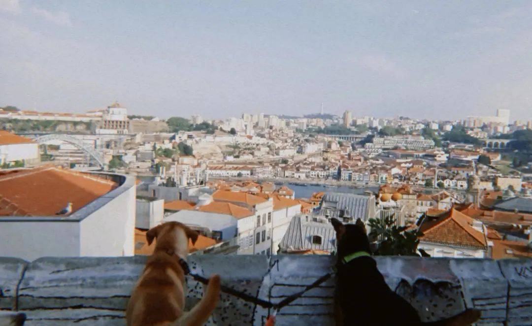 10 Hidden Porto Viewpoints Only Locals Know About 1 Porto