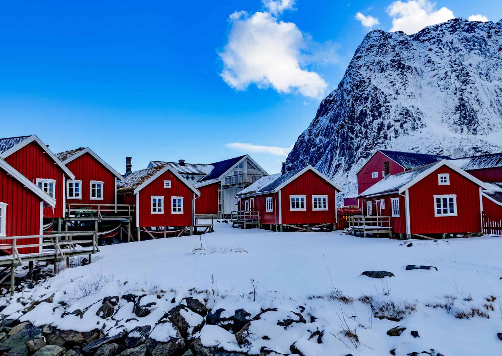 Reine