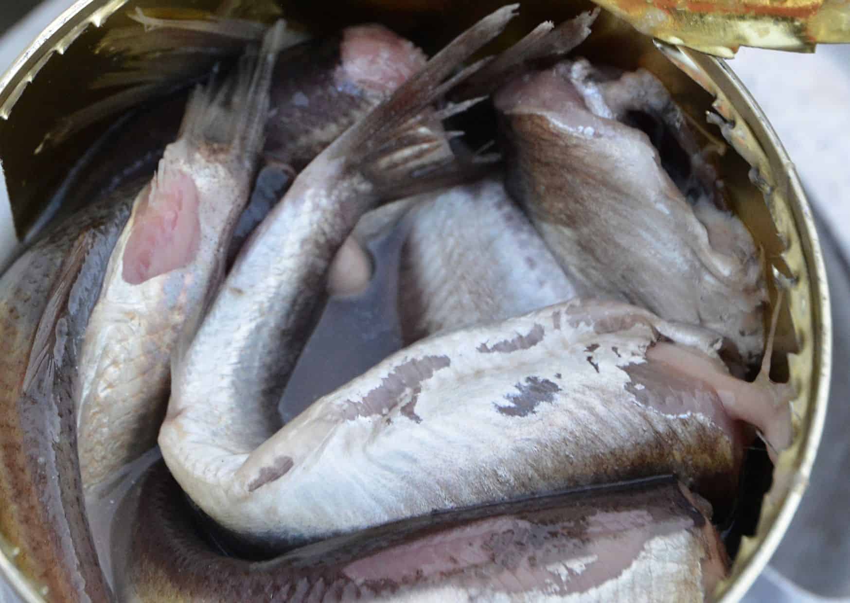 Surströmming, 
