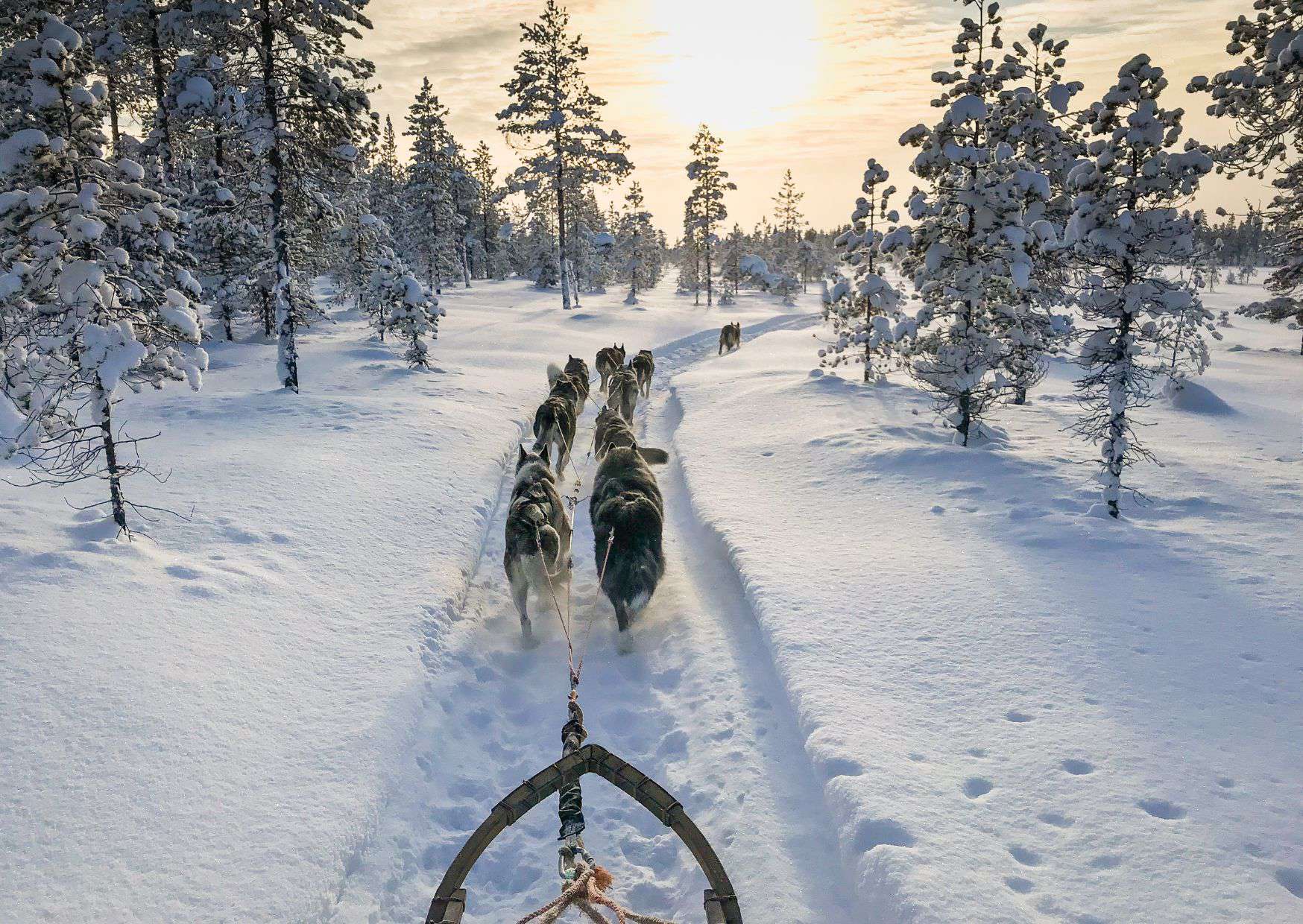12 Mistakes to Avoid in Sweden and How to Avoid Them 10 12 Mistakes to Avoid in Sweden and How to Avoid Them