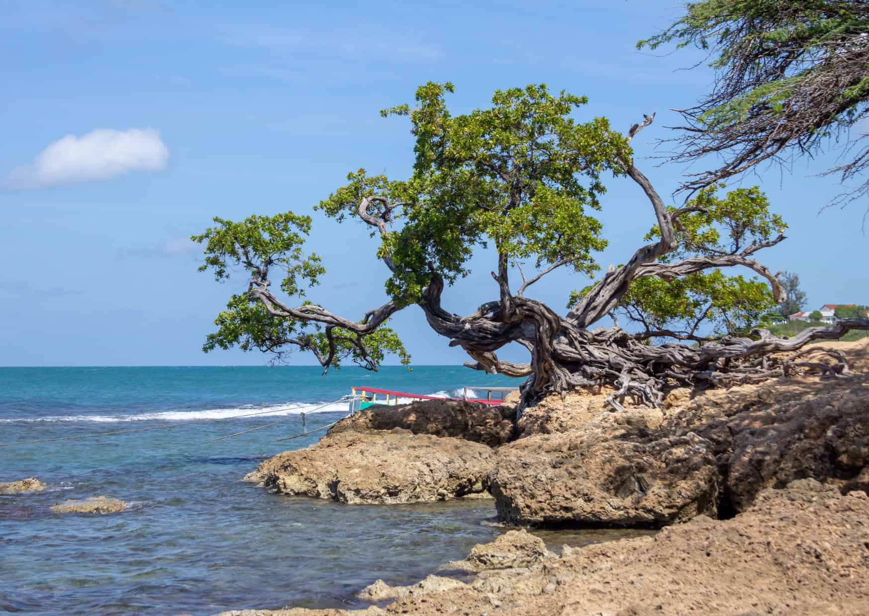 10 Best Caribbean Beaches Beyond the Tourist Traps to Visit 4 Treasure Beach Jamaica Best Carribean Beaches Beyond the Tourist Traps