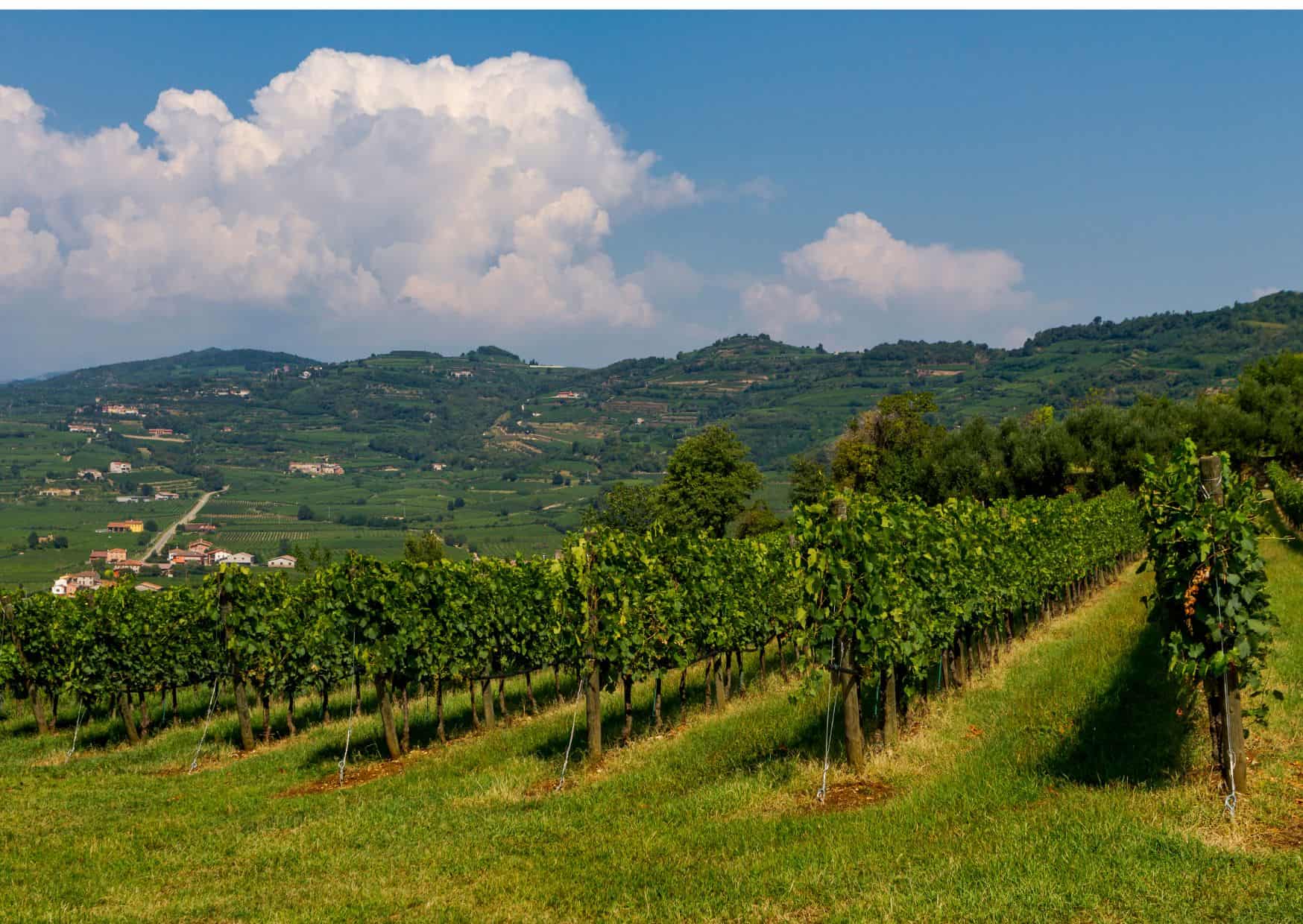 10 Common Mistakes to Avoid in Verona and How to Avoid Them 6 Verona 4