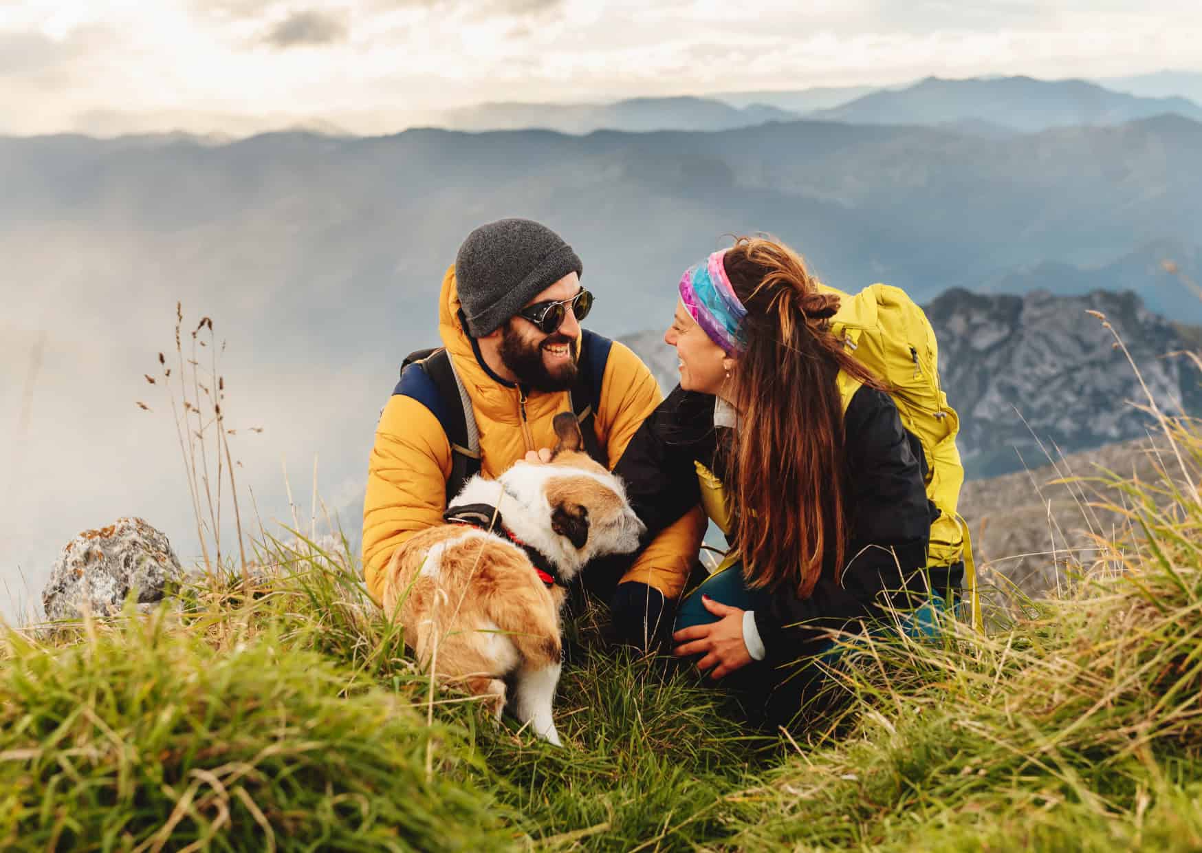 Pack the Treats, Not the Guilt: 10 Pet-Friendly Destinations Your Dog (or Cat) Will Love as Much as You Do 1 pet friendly travel destinations