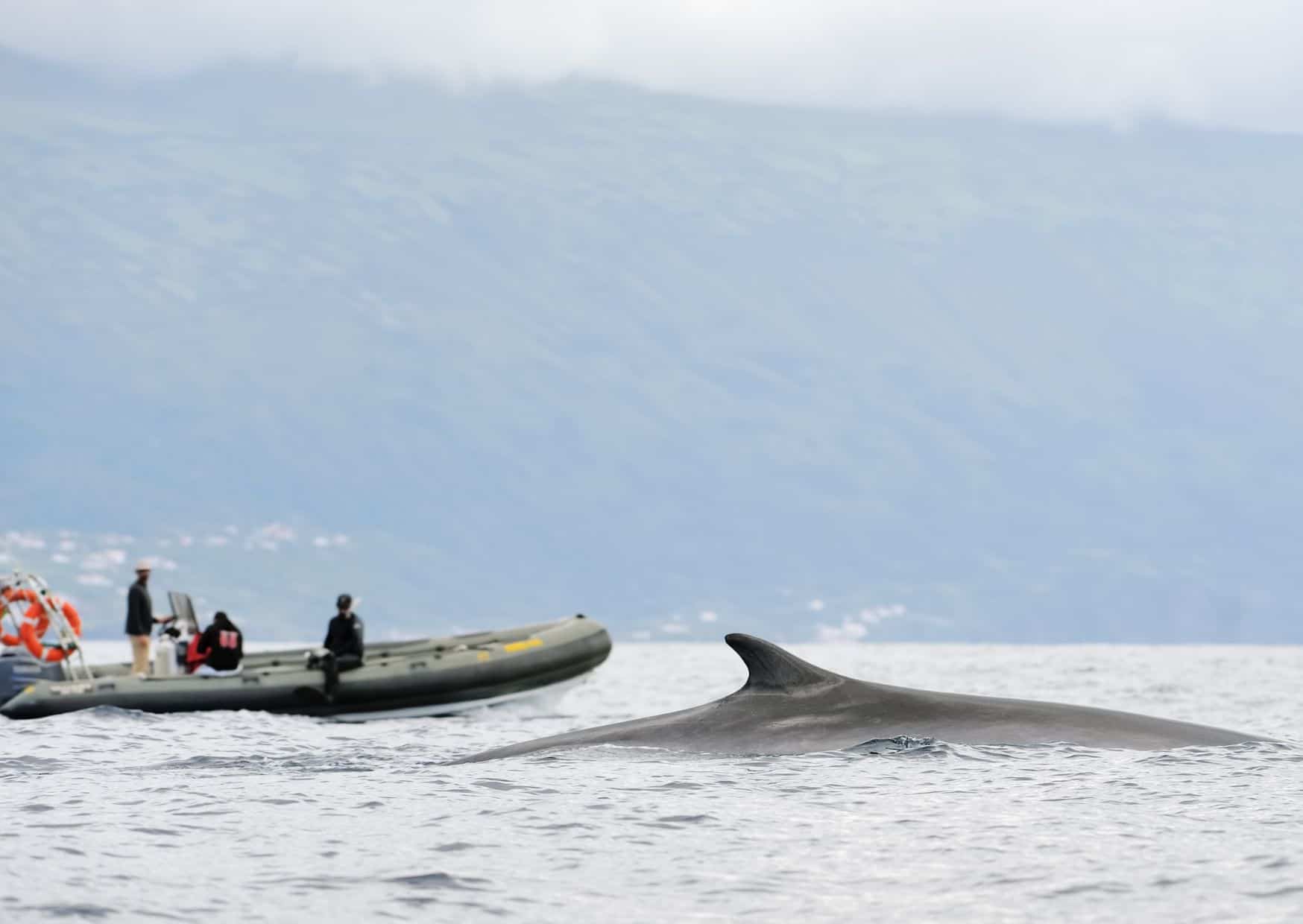 10 Common Mistakes to Avoid in the Azores Portugal and How to Avoid Them 7 10 Common Mistakes to Avoid in the Azores and How to Avoid Them