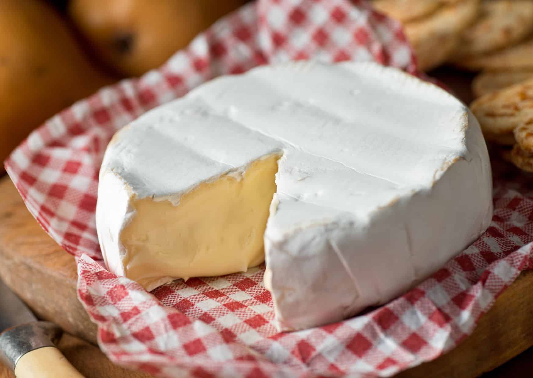 Brie Vs Camembert: Best Cheese and Recipe Guide 1 Brie Vs Camembert: Best Cheese and Recipe Guide