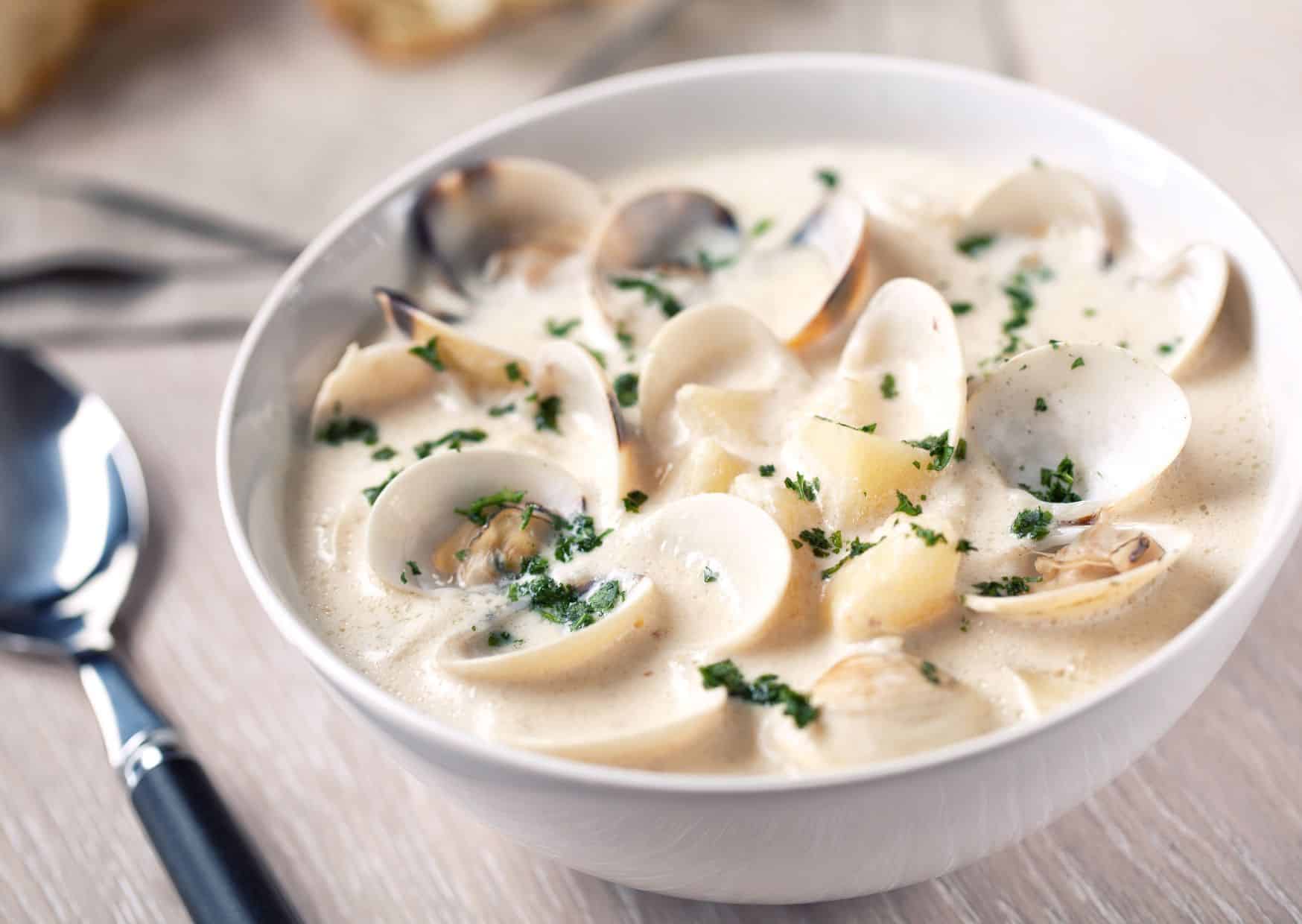 Clam Chowder, 