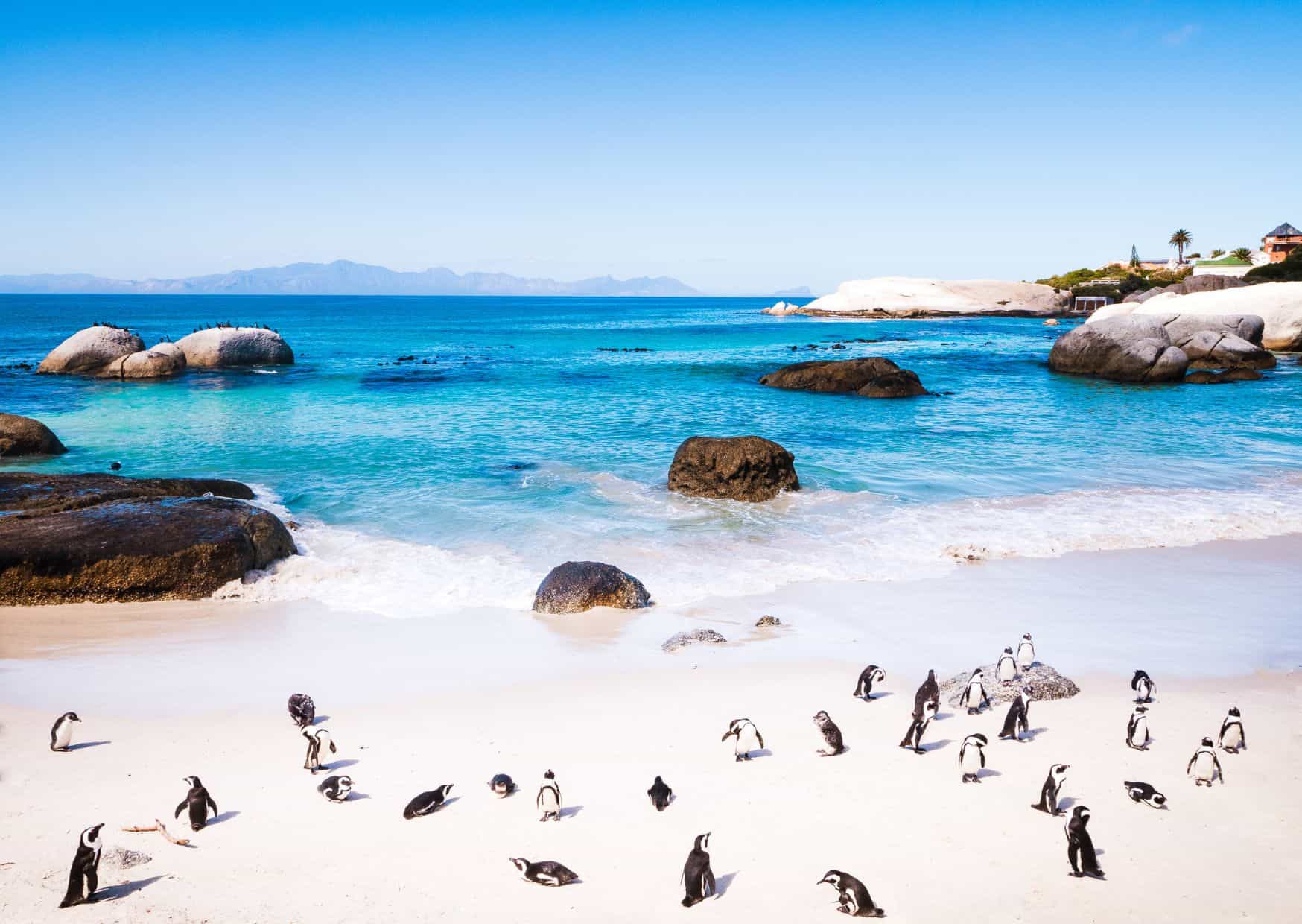 10 Best Countries to Celebrate New Year Around The World 9 New Year 7