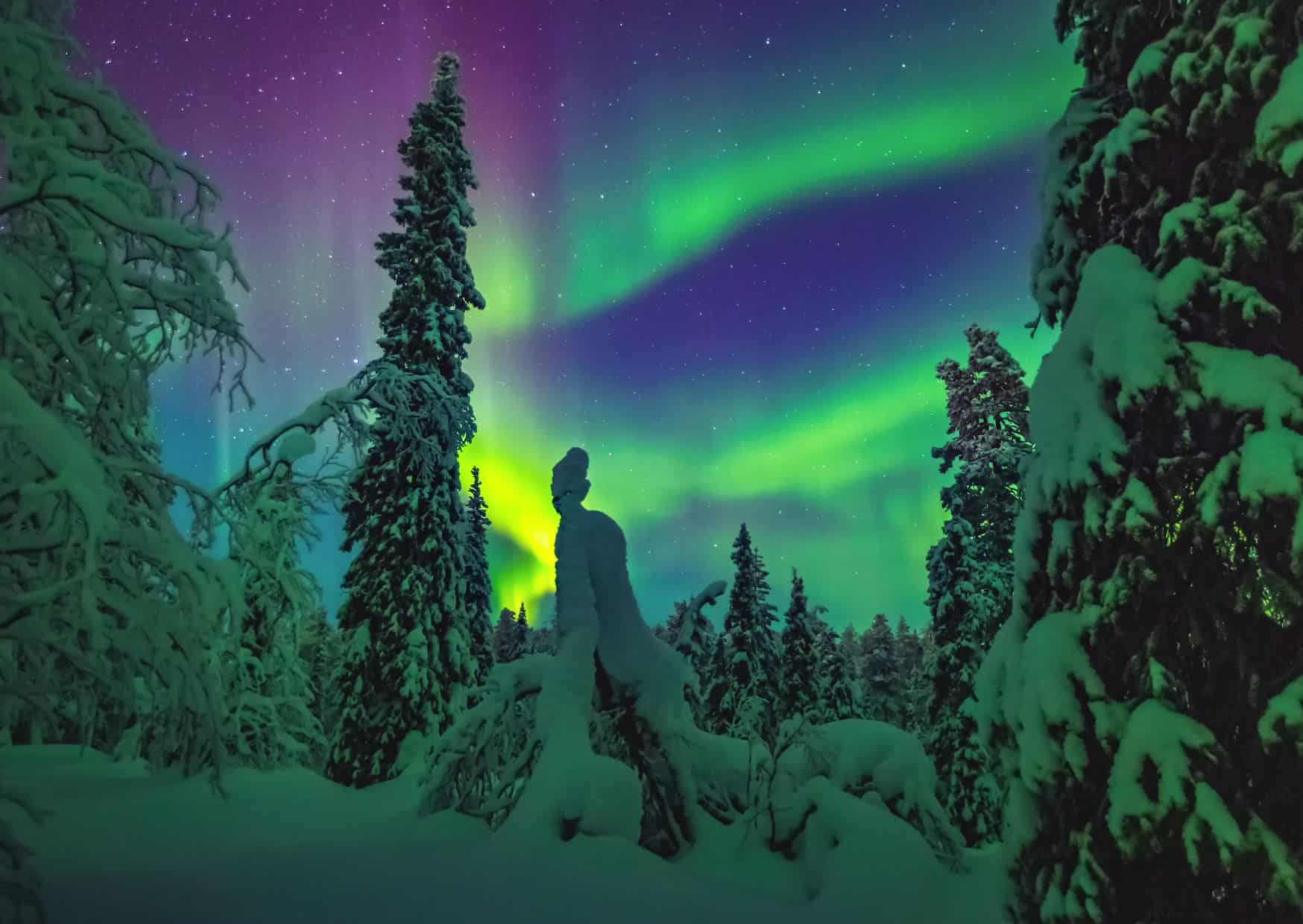 Finnish Lapland