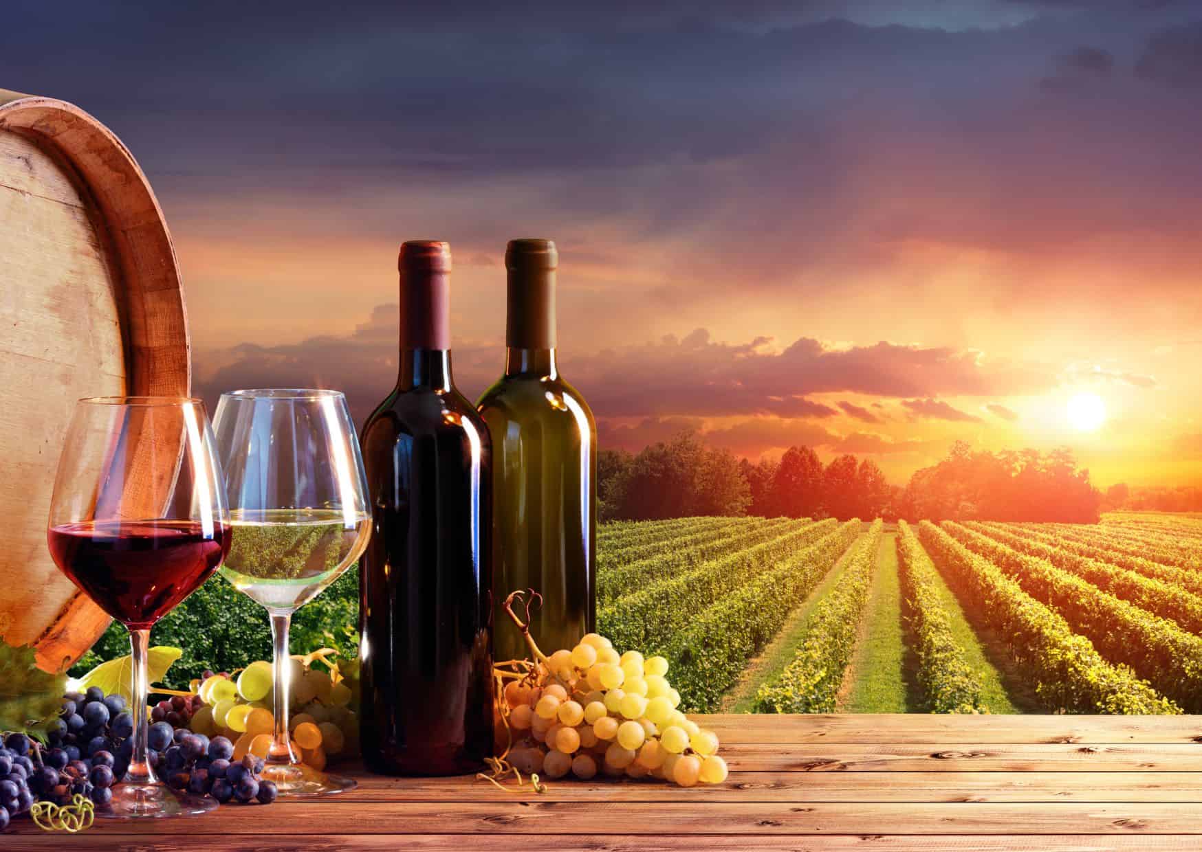 Why Is Italy Famous? 12 Things That Make Might Shock You And Tourists Don’t Expect 5 Tuscany