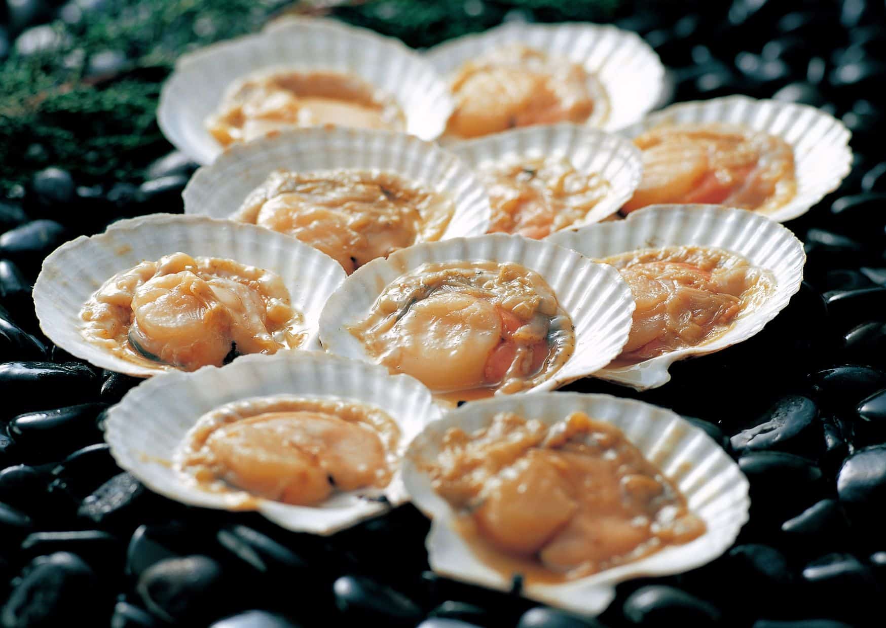 Beyond Croissants and Crepes: 12 Real French Foods You’re Missing Out On (And How to Make Them) 8 Coquilles Saint-Jacques