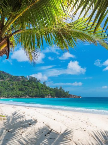 Don’t Do This in Jamaica: 15 Things Not to Do in Jamaica