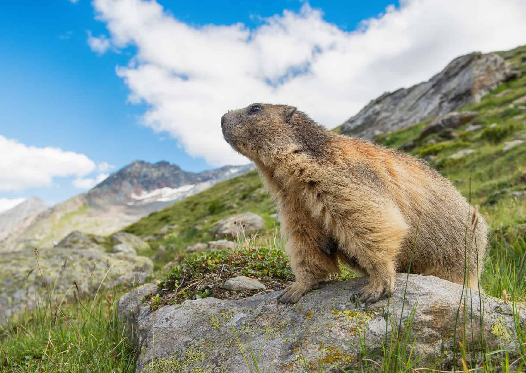 Don’t Do This in Switzerland: 20 Mistakes Tourists Make (And How to Avoid Them) 7 Recilcyng 2
