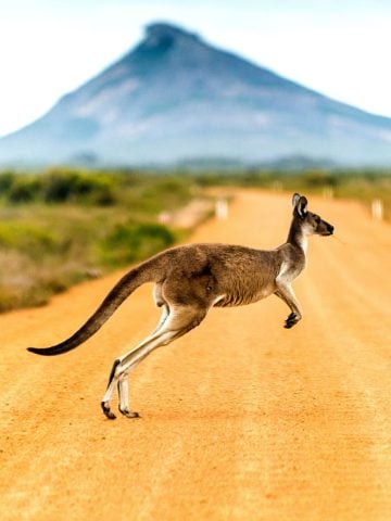 20 Unspoken Rules of Australian Life That Tourists Often Don’t Understand