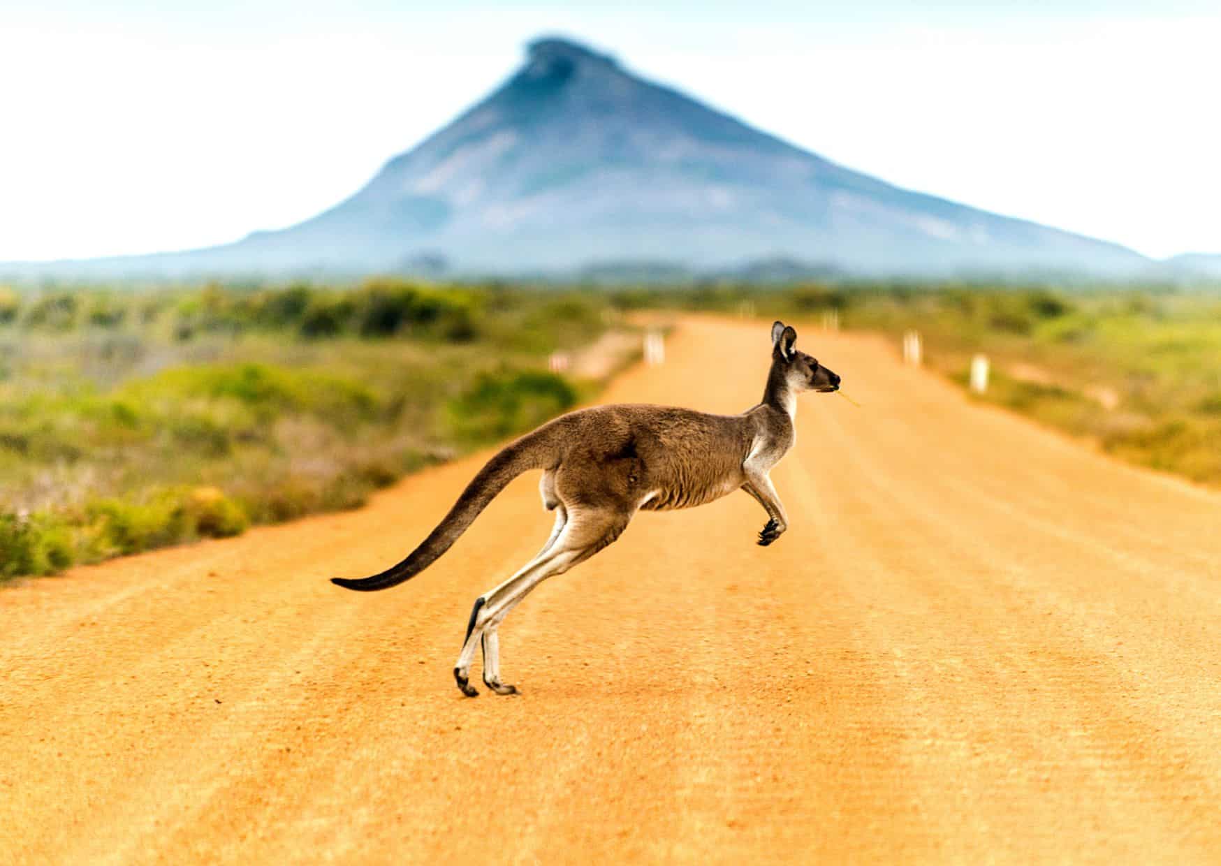 8 Places Around The World You’ll Offend Locals by Leaving Extra Money 5 20 Unspoken Rules of Australian Life That Tourists Often Don’t Understand