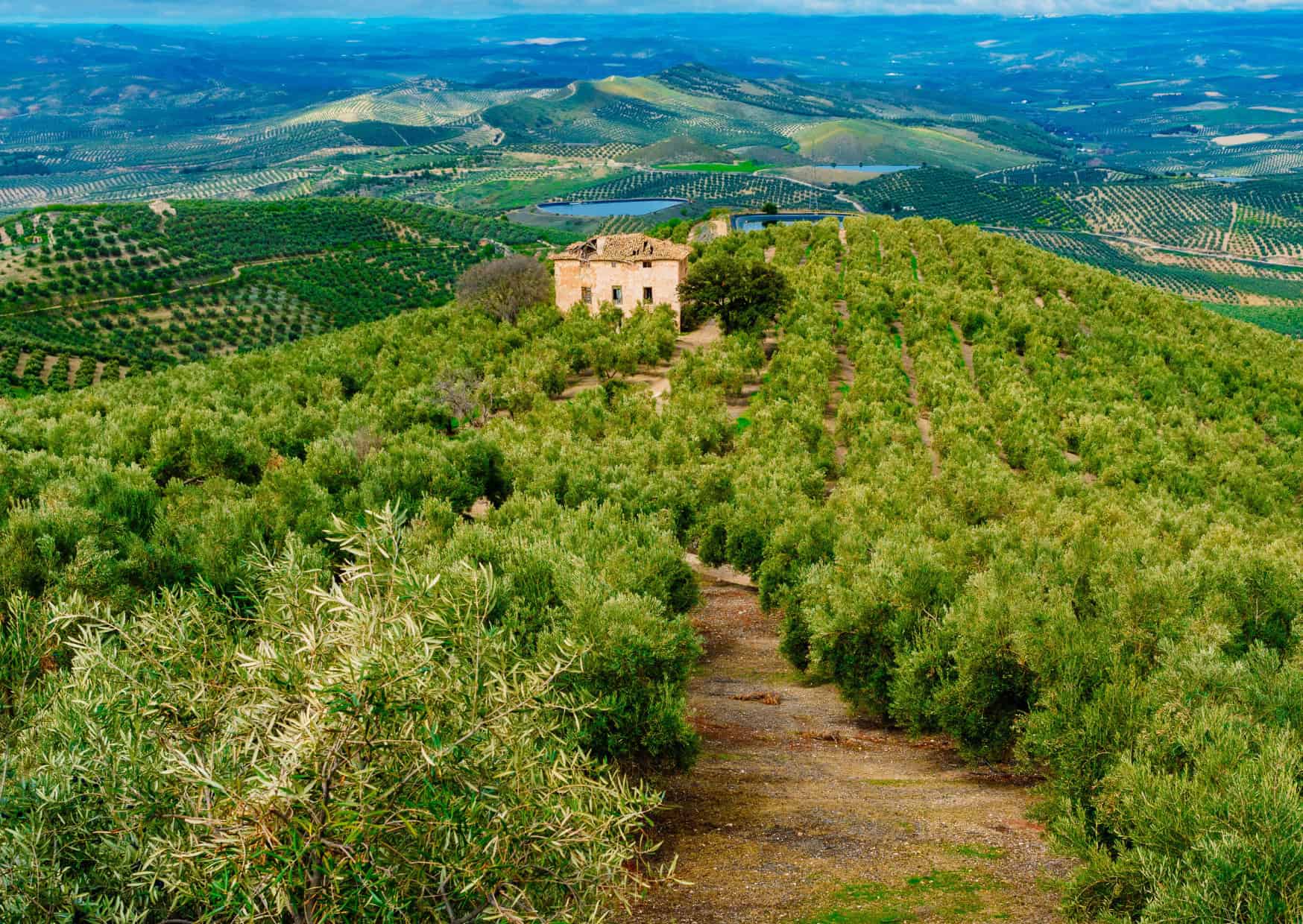 8 Unexpected European Spots for Remote Work Hint: Castles and Farmhouses 8 European Spots for Remote Work 4