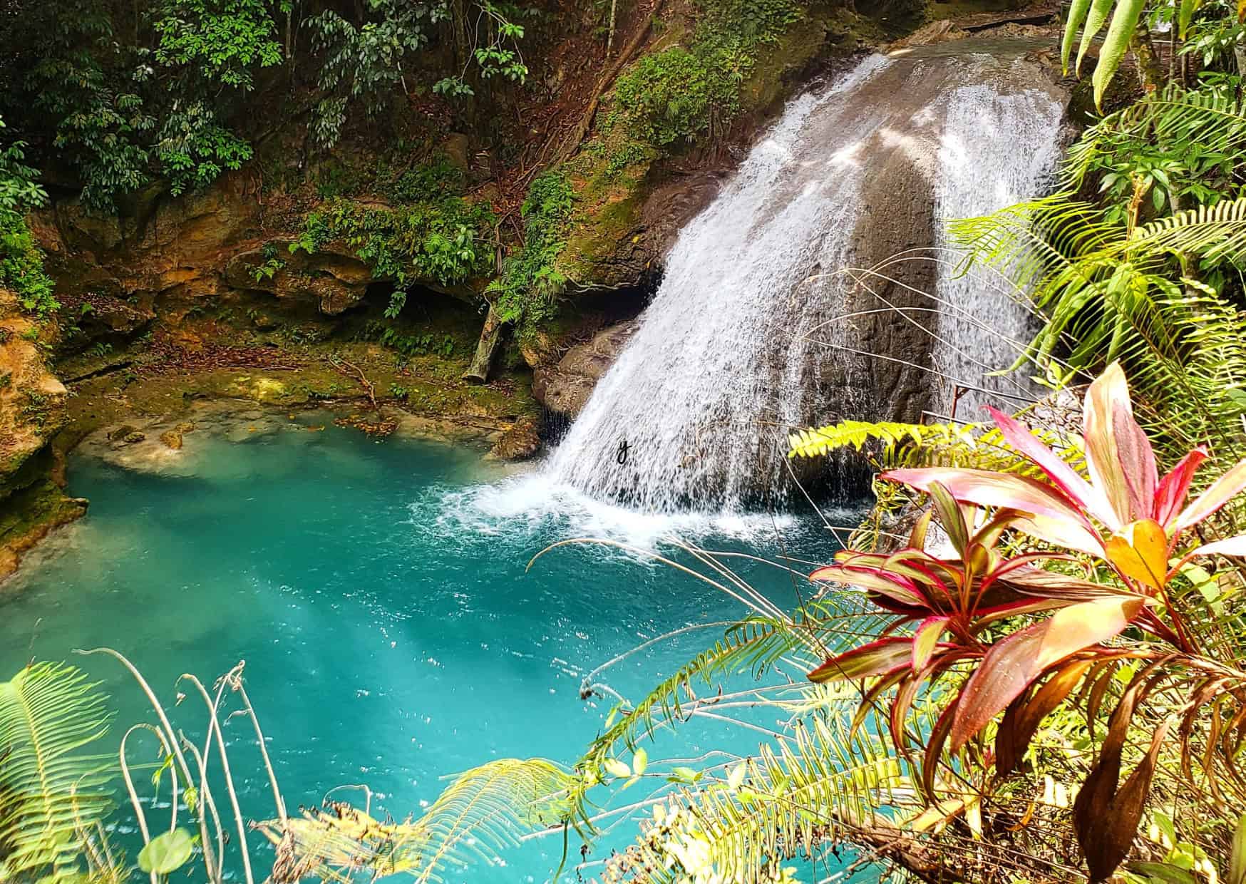 Best Way To Move Around Jamaica: Your Guide to Island Transportation 3 Gottogo Transportation for Jamaica 2