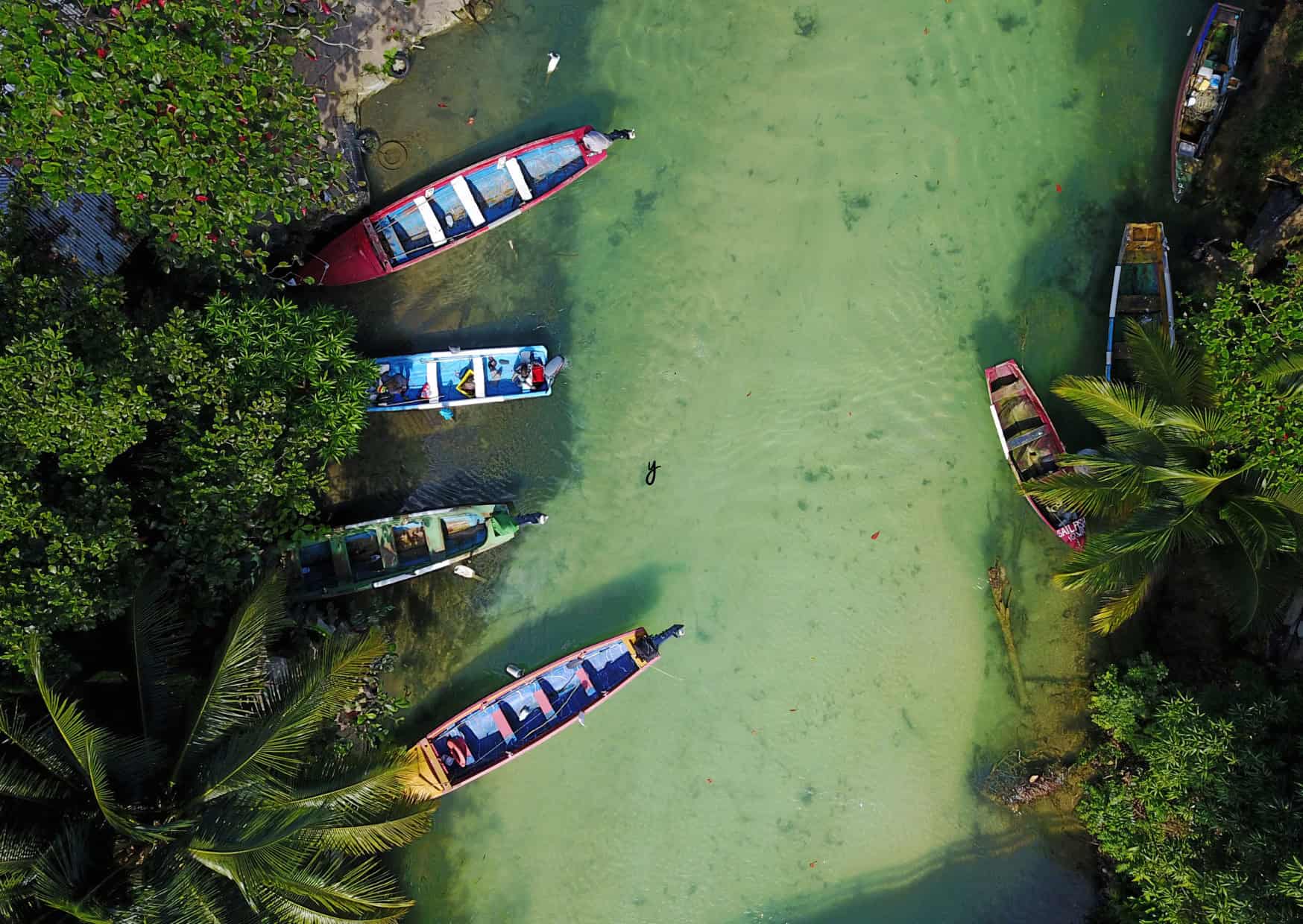Best Way To Move Around Jamaica: Your Guide to Island Transportation 4 Gottogo Transportation for Jamaica 3