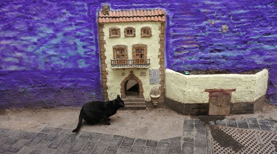 The House of Cats (Casa de los Gatos)