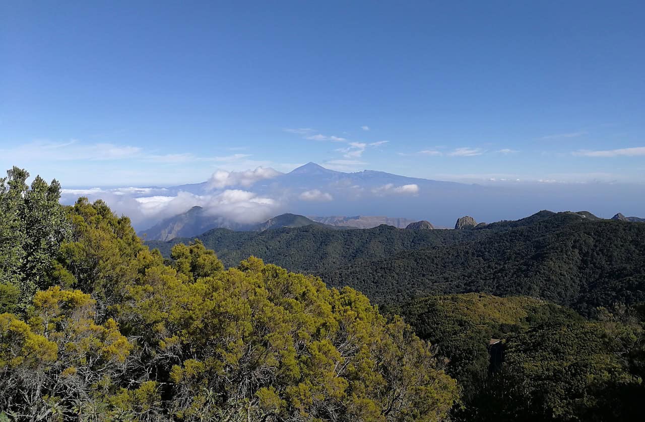 15 Most Underrated Experiences in Spain 15 Garajonay National Park, La Gomera