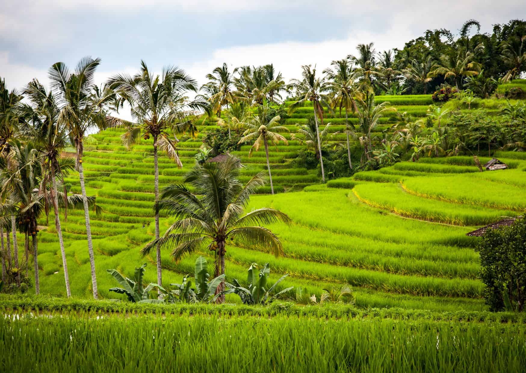 Europe Isn’t Cheap Anymore—Are Americans Over It? Why Some Travelers Are Skipping Europe Entirely This Year (And Where They're Going Instead) 9 Bali 3