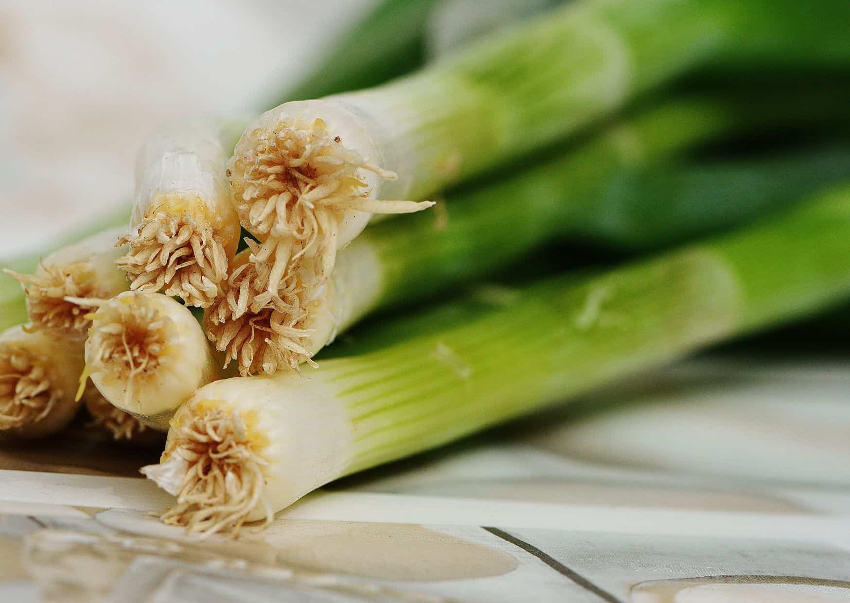 How to Make Belgian Leek Tart (Flamiche aux Poireaux) – Recipe Guide