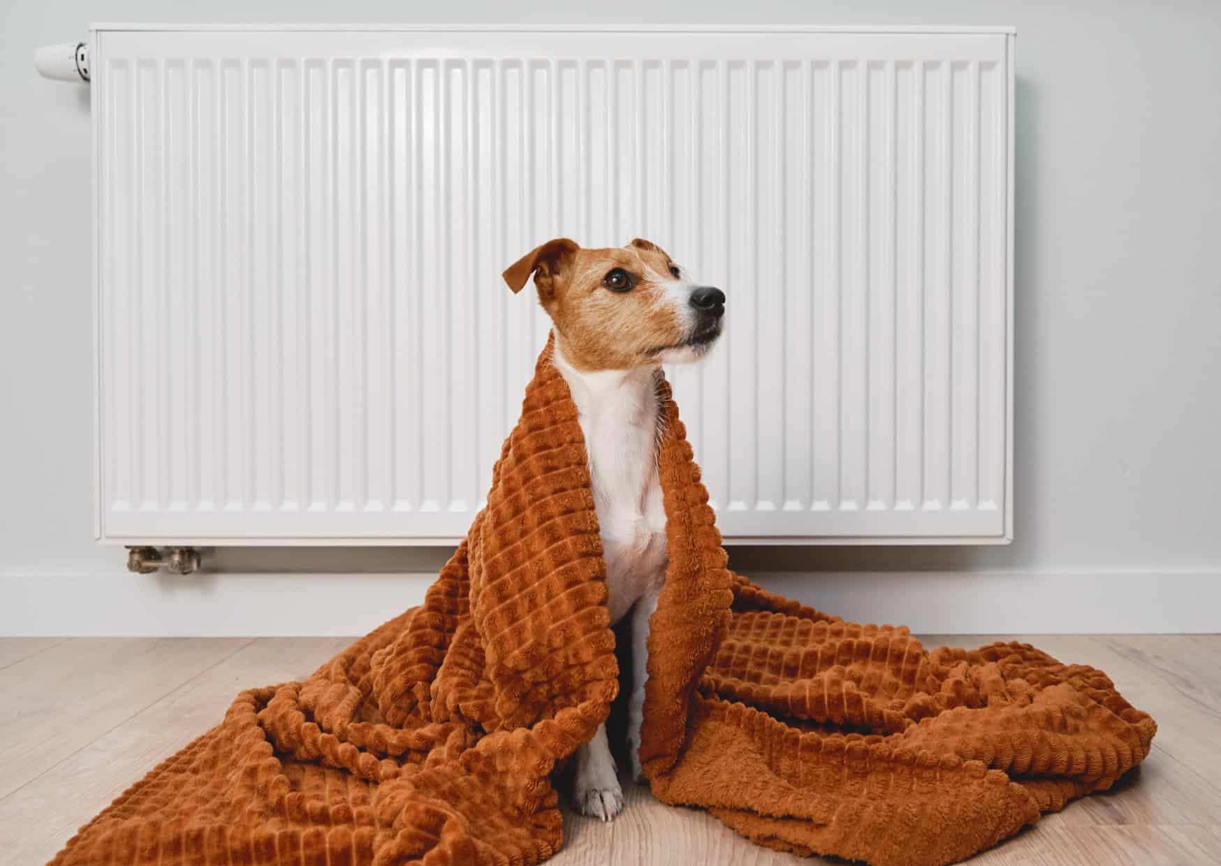 Why European Homes Feel Smarter: 9 Essentials Most Americans Don’t Even Know About 3 Home Features Europeans Consider Essential 5