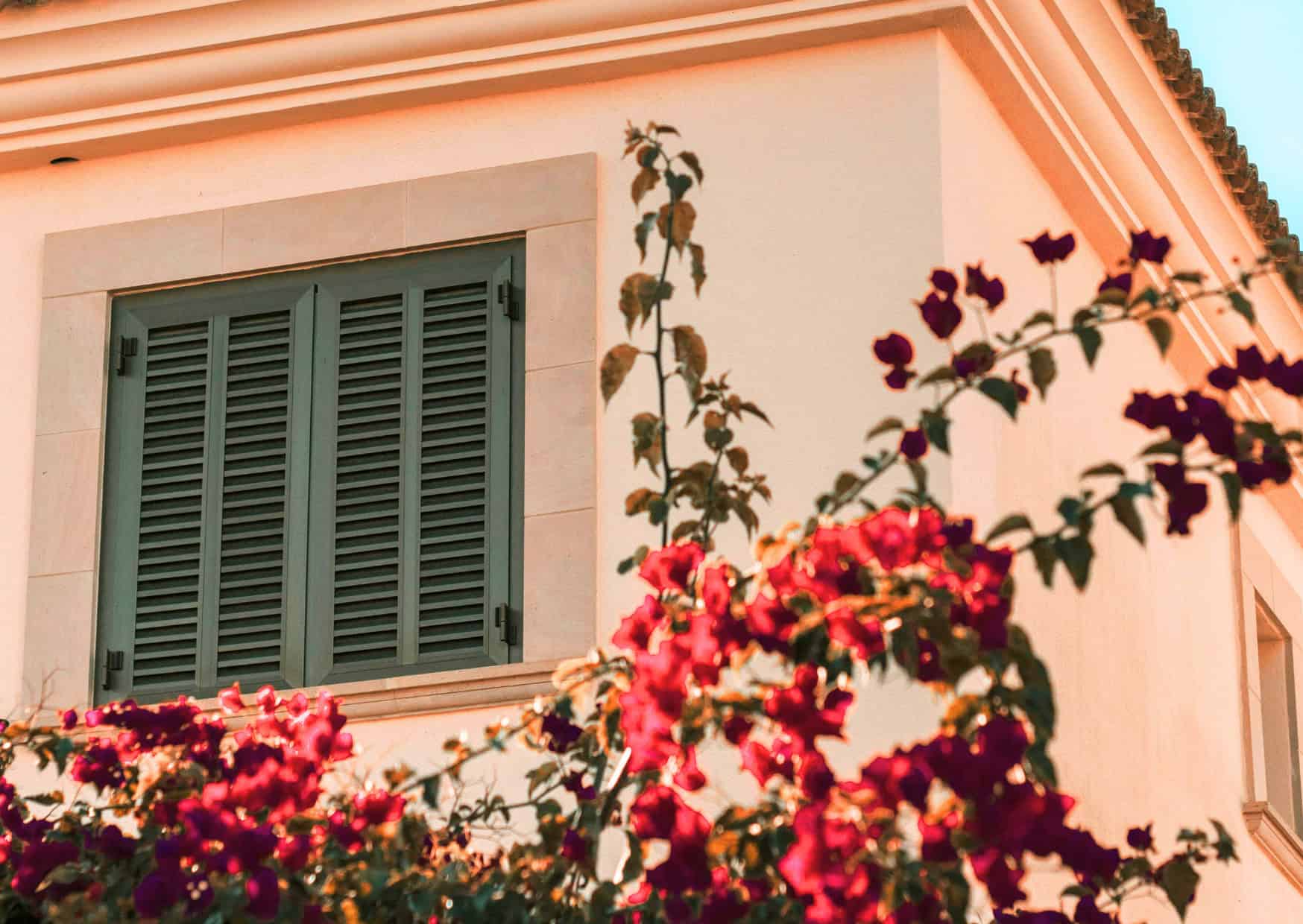 Why European Homes Feel Smarter: 9 Essentials Most Americans Don’t Even Know About 2 Home Features Europeans Consider Essential