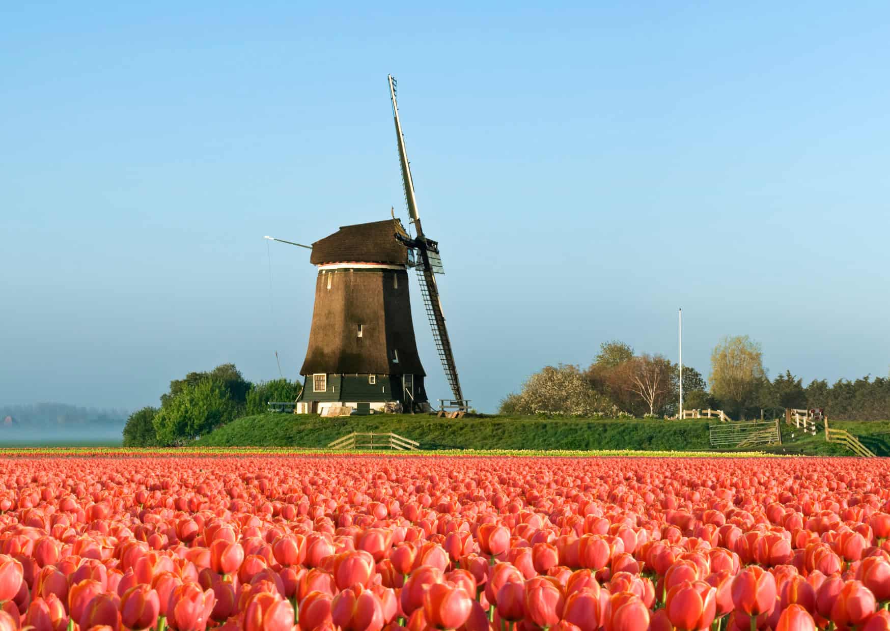 Why Europeans Celebrate Spring Completely Differently Than Americans 5 Why Europeans Celebrate Spring Completely Differently Than Americans 2